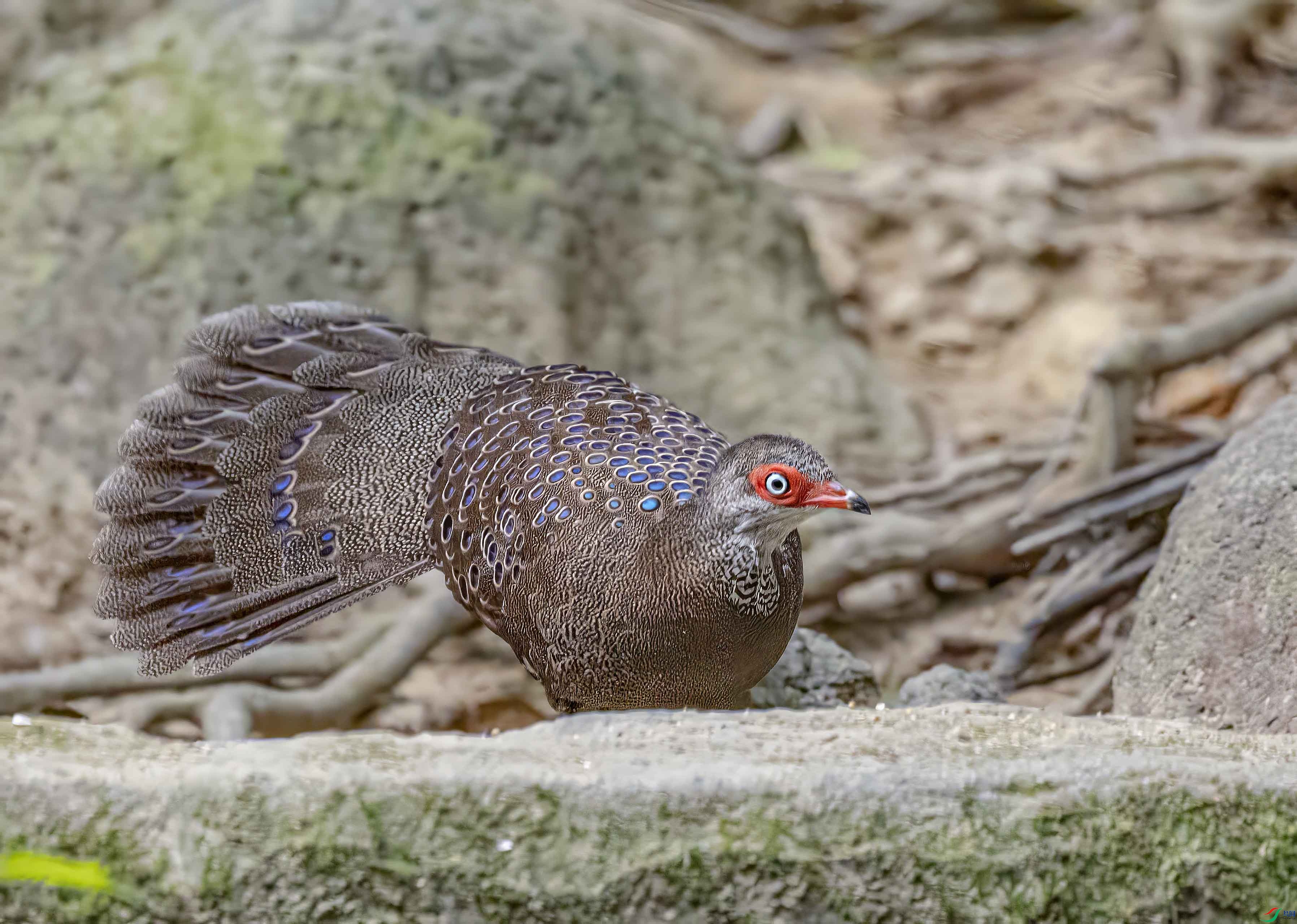 032A3347���Ͽ�ȸ�� ����.jpg