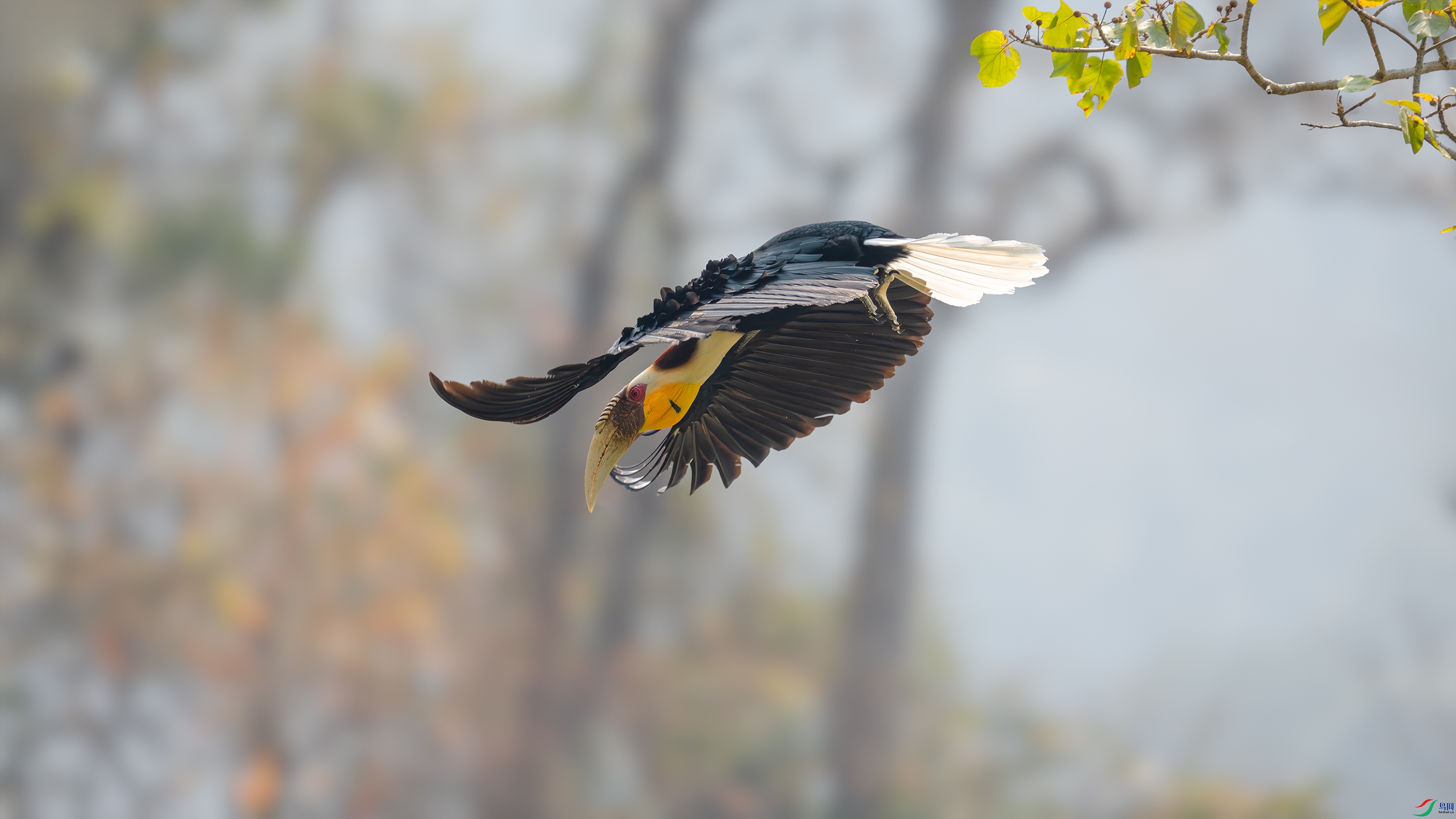 _DSC8761 ����.jpg