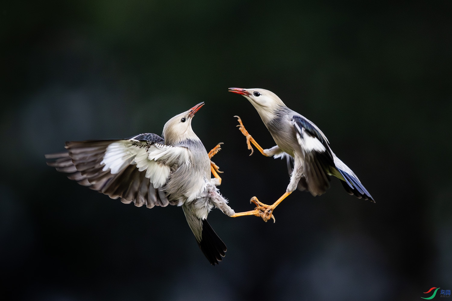 771A5370 ����a.jpg