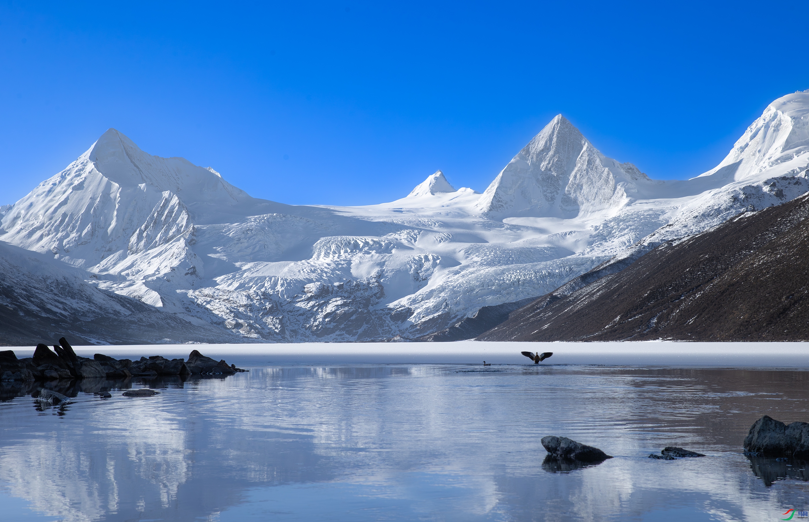 A15I9859-����ǿ-NR ����.jpg