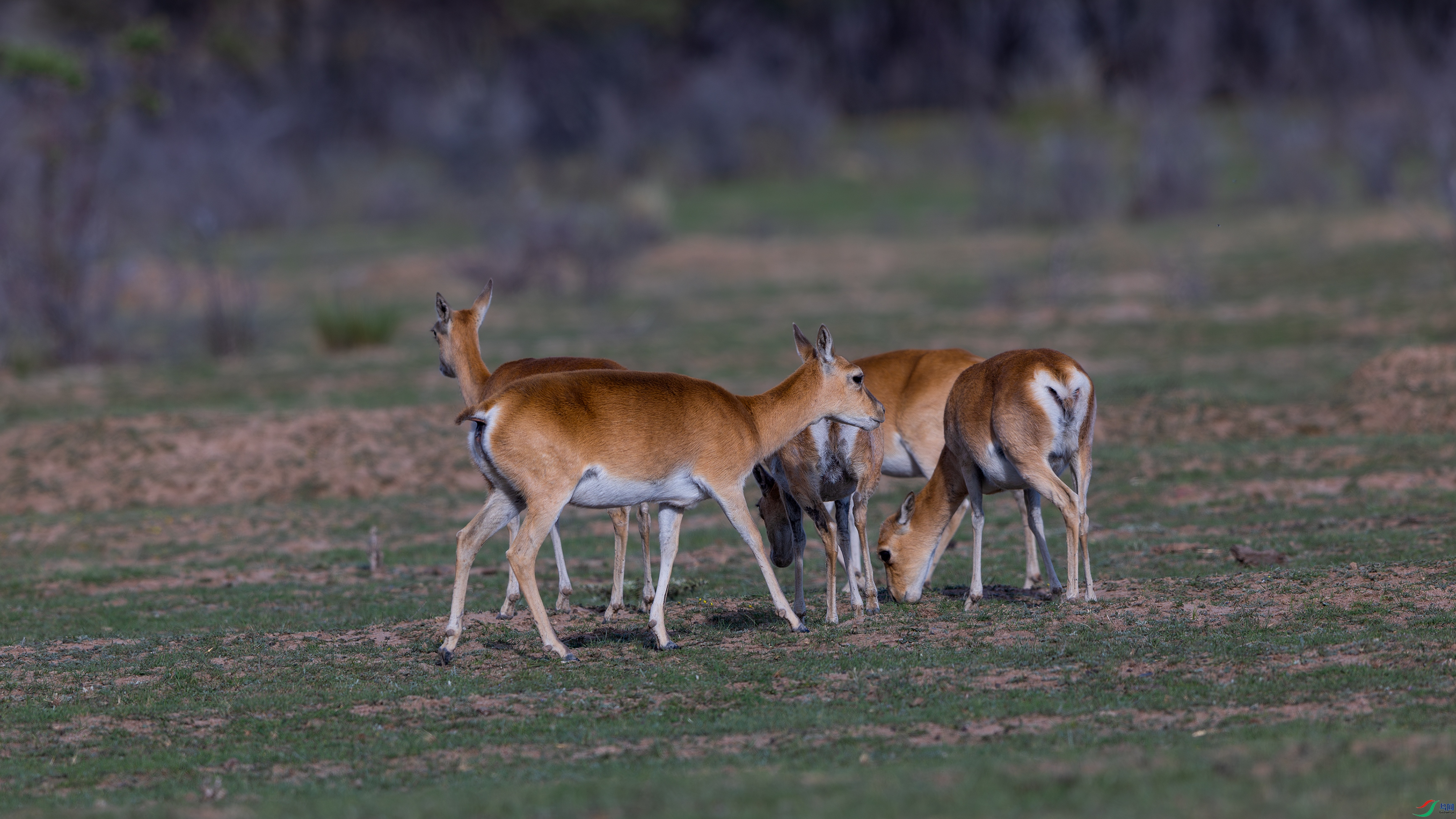 _O7A0885-4442.jpg