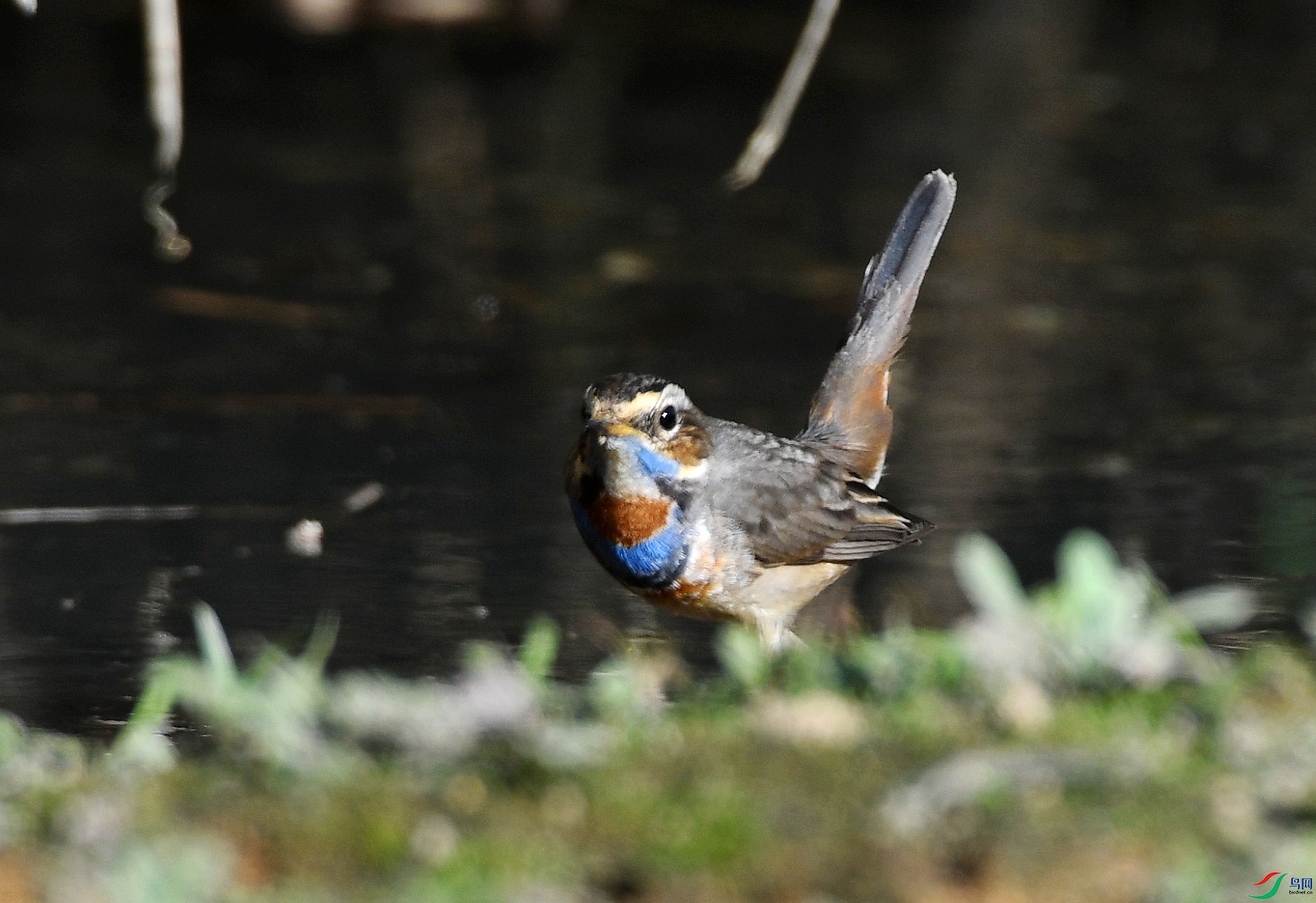 DSC_5022.jpg
