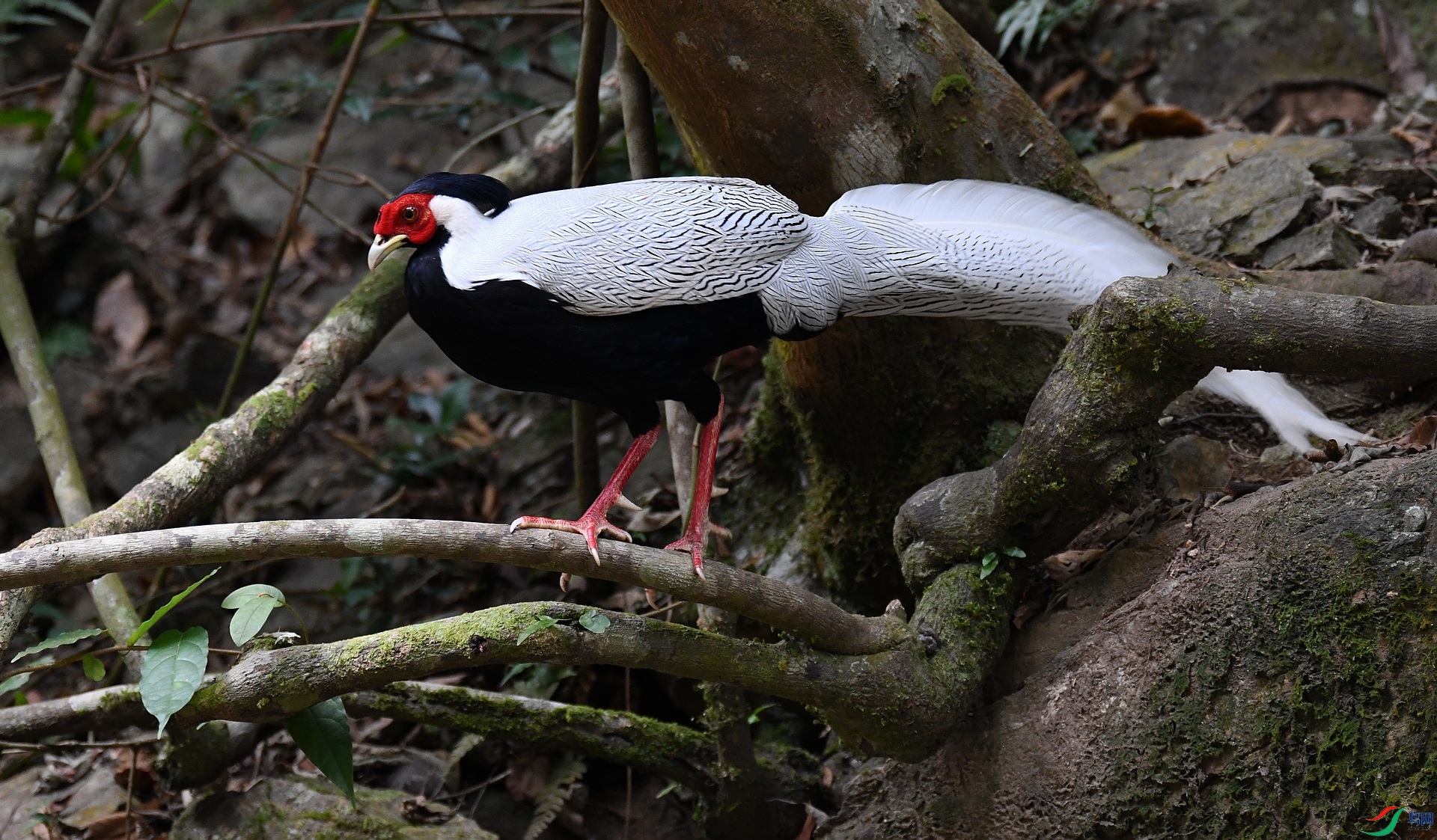 DSC_6213.jpg