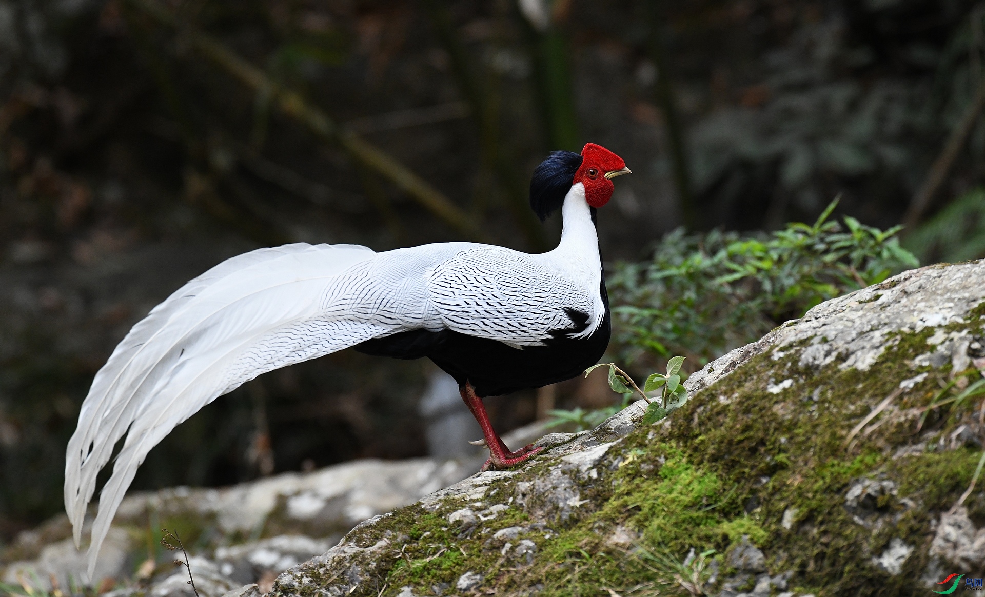 DSC_6225.jpg