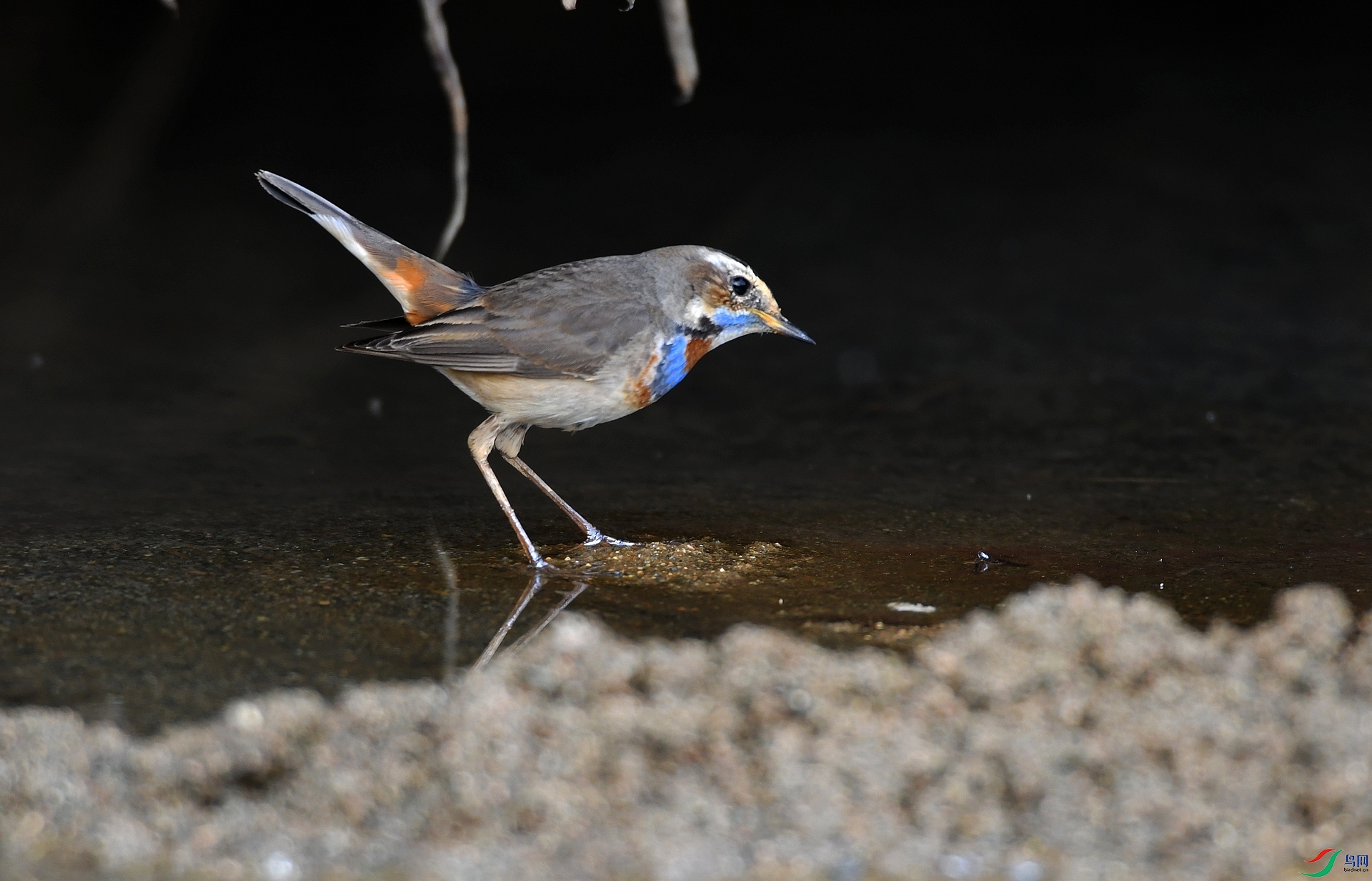 DSC_6361.jpg