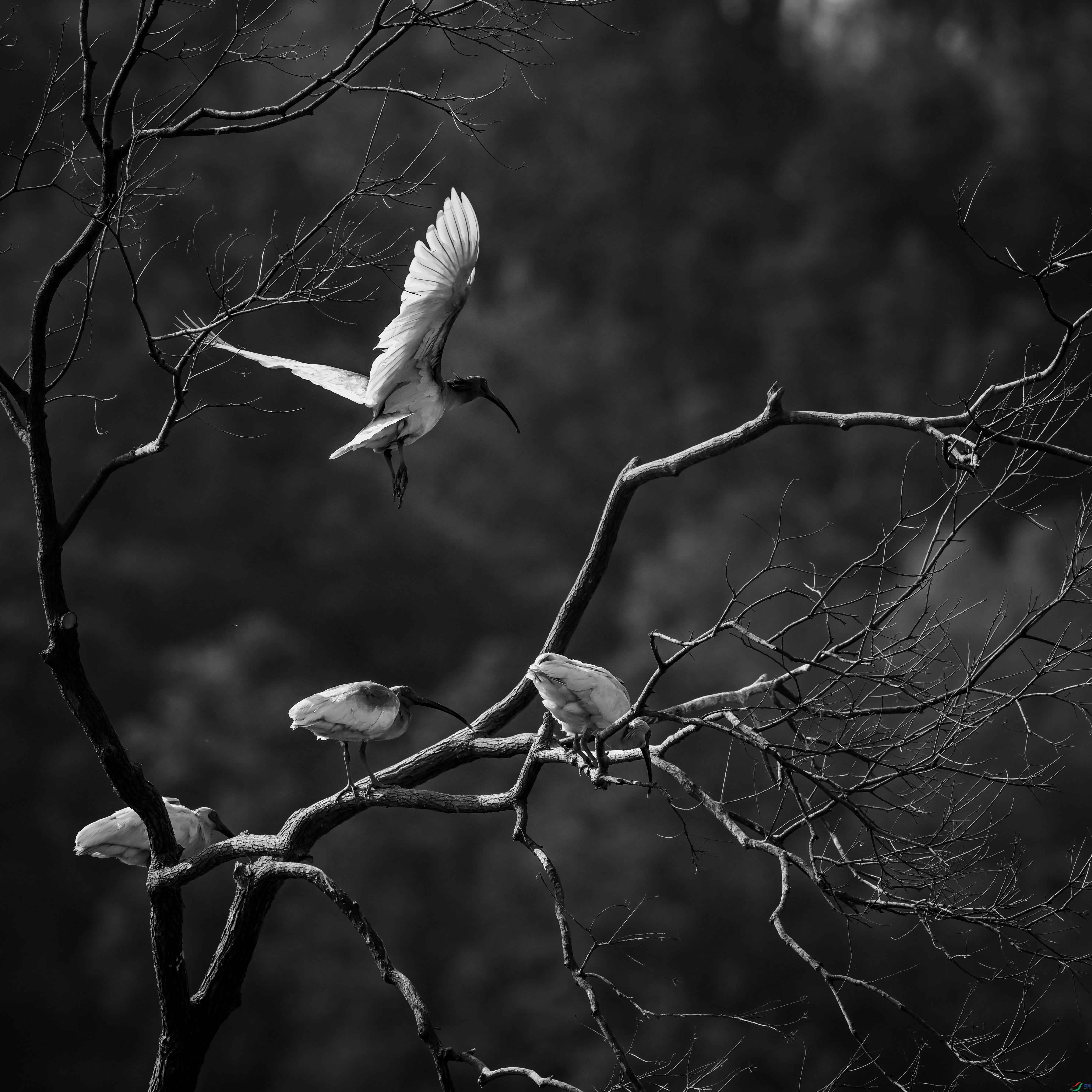DSC_9667.jpg