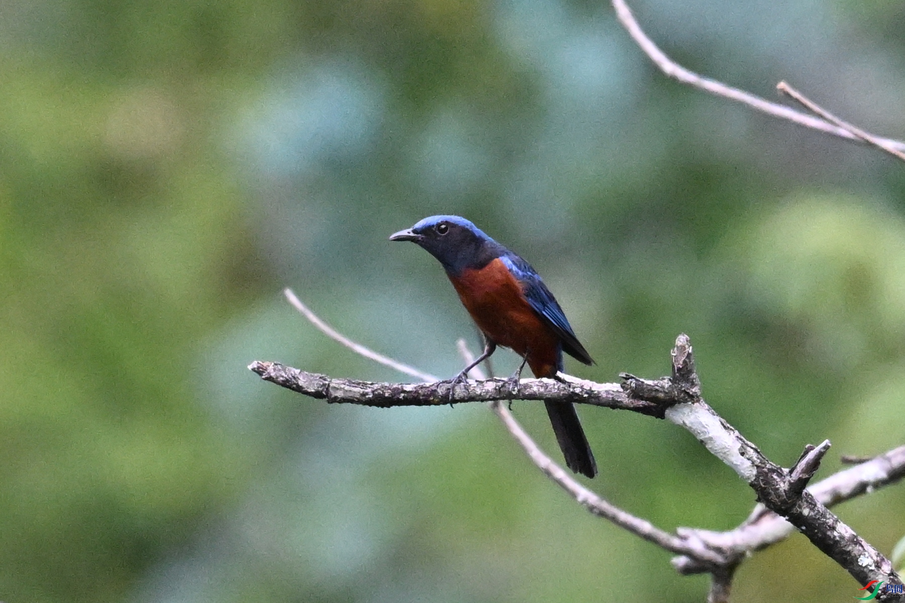 DSC_1925.JPG