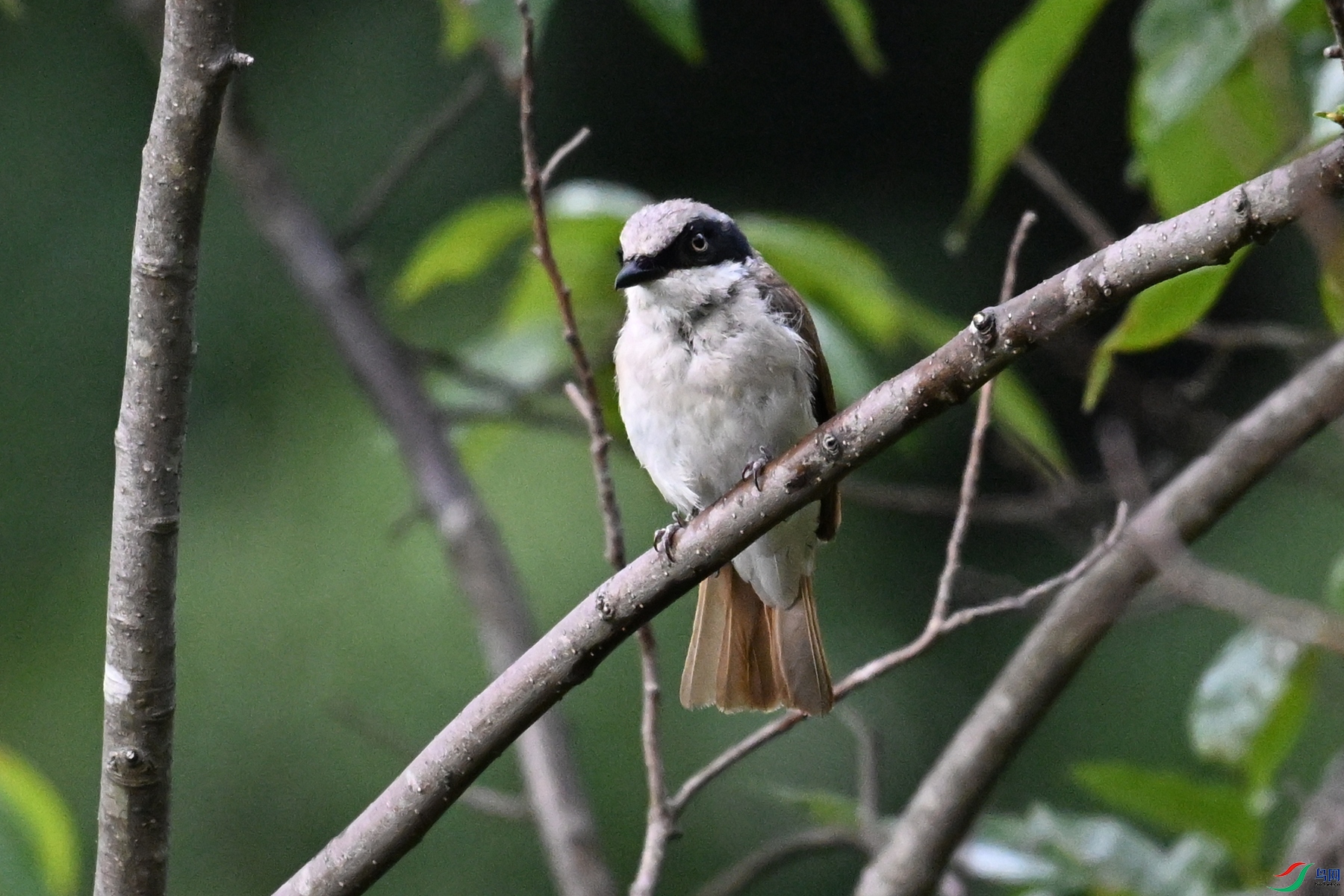 DSC_1939.JPG