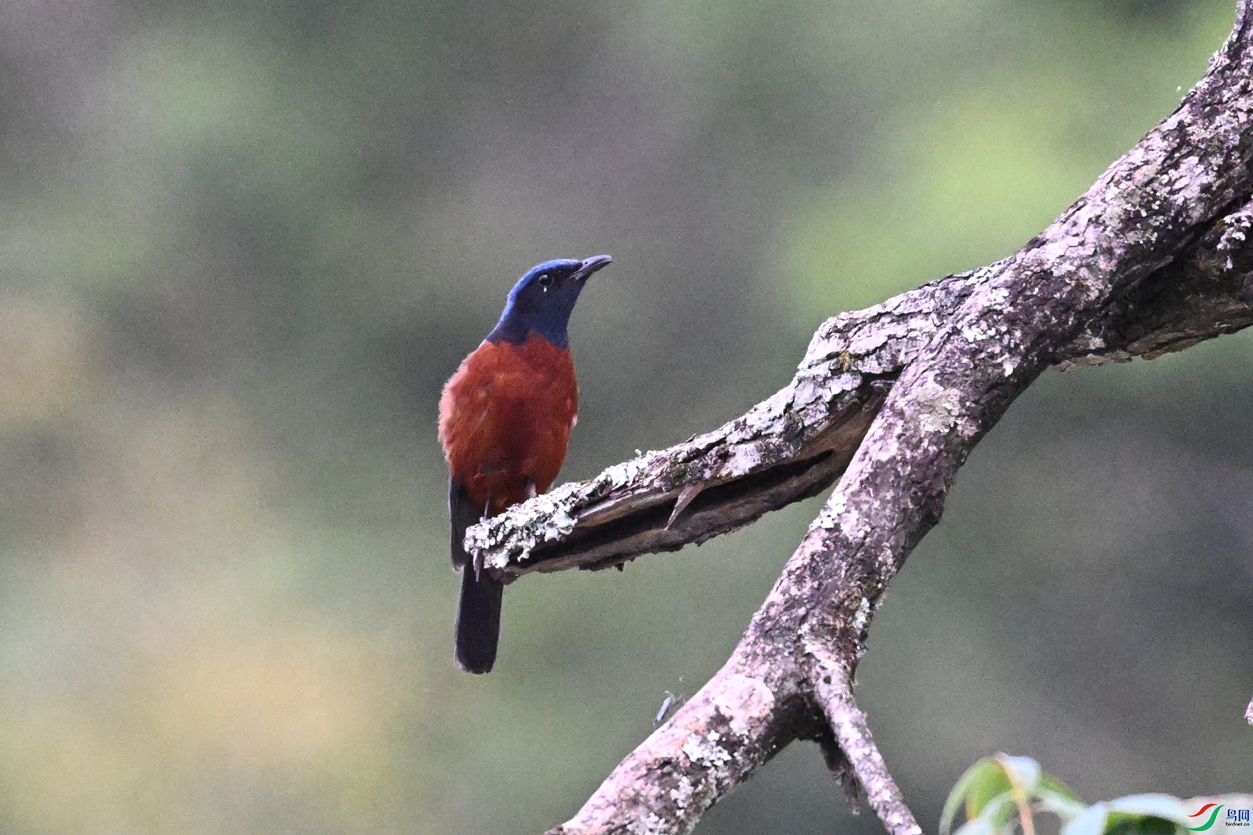 DSC_1892.JPG