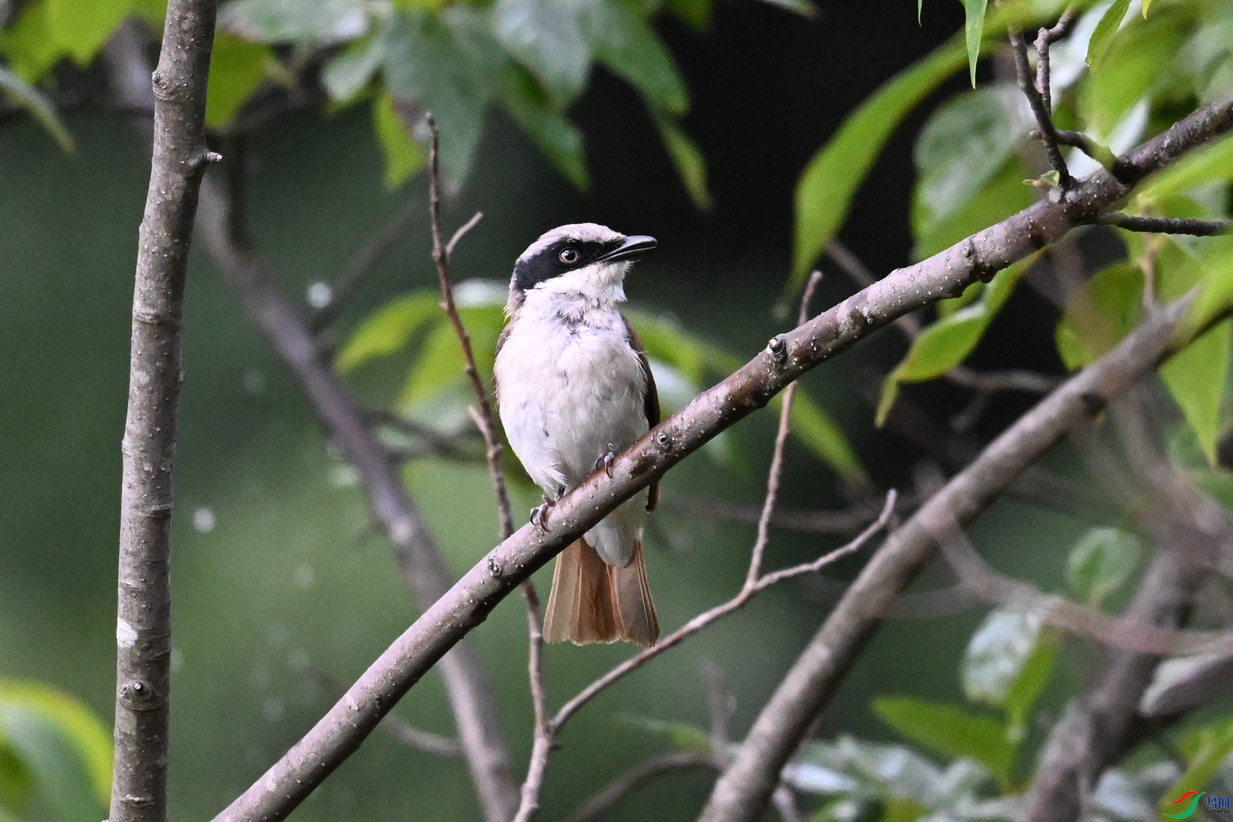DSC_1934.JPG