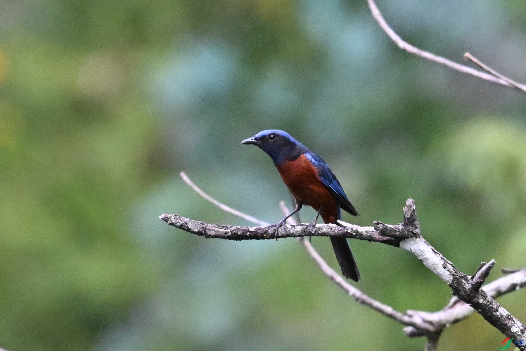 DSC_1926.JPG