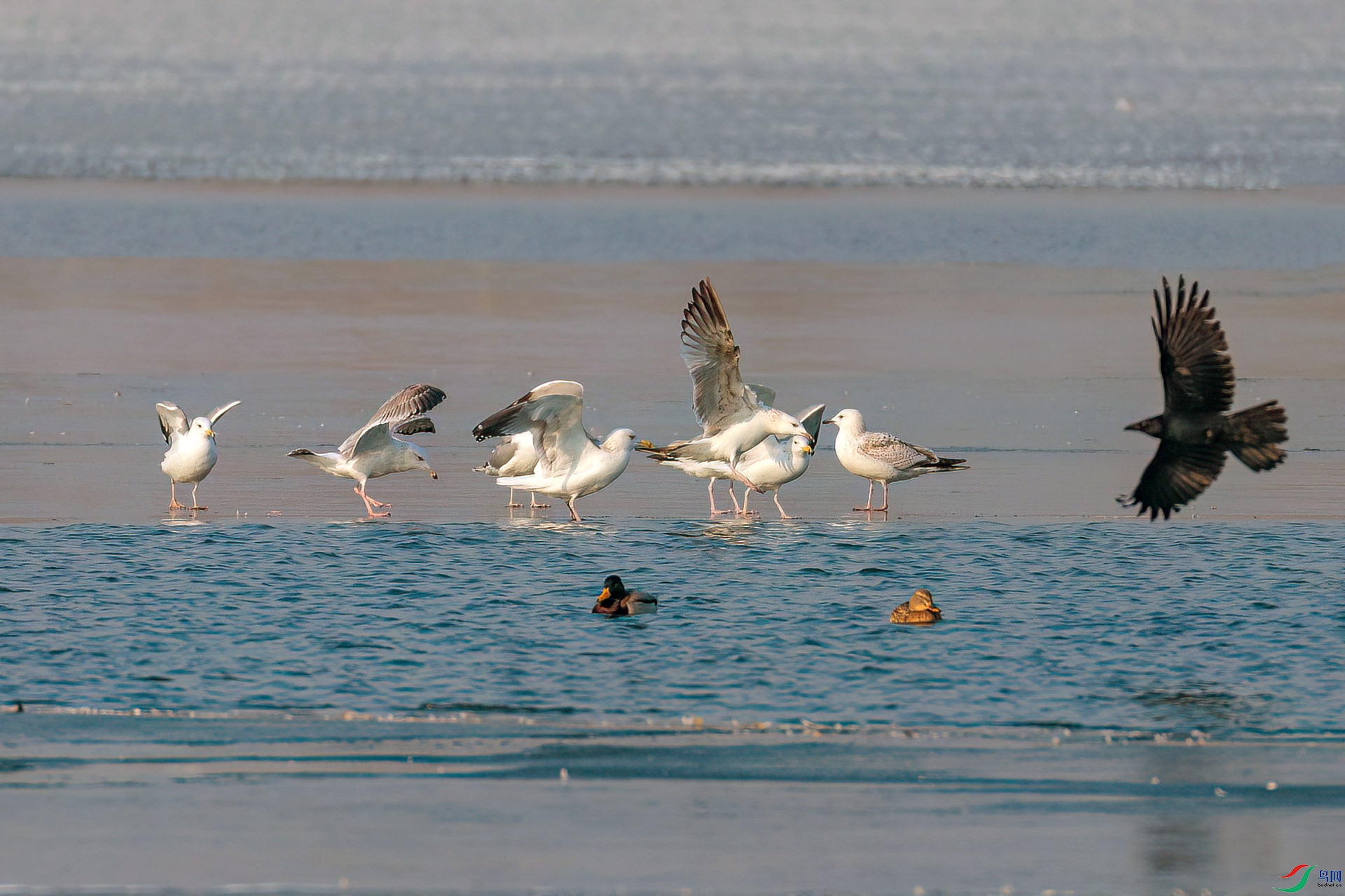 0I5A0178.jpg