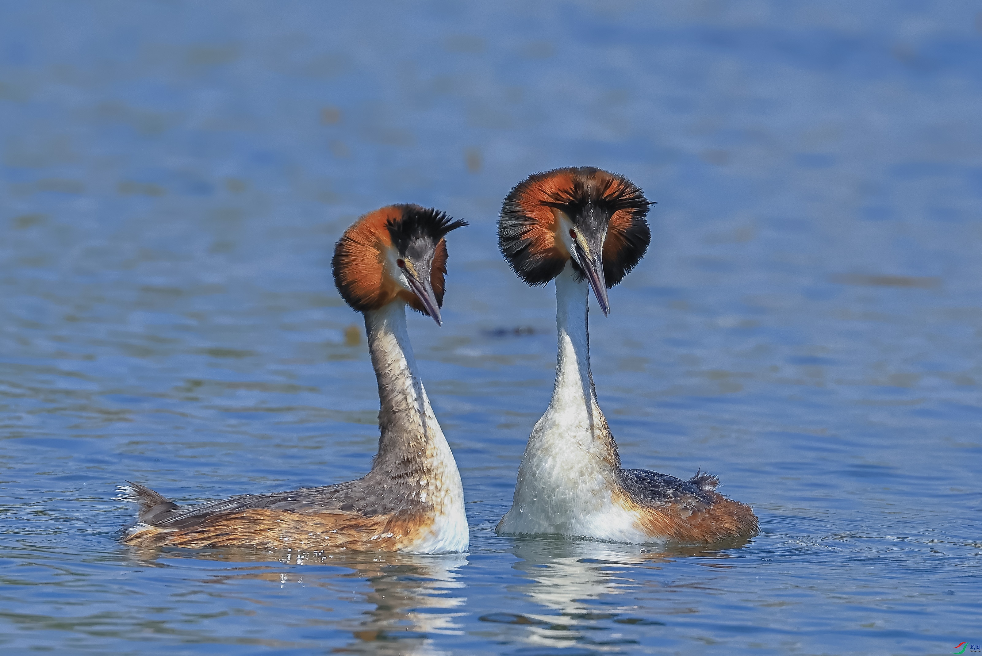 L10A0232 ����.jpg