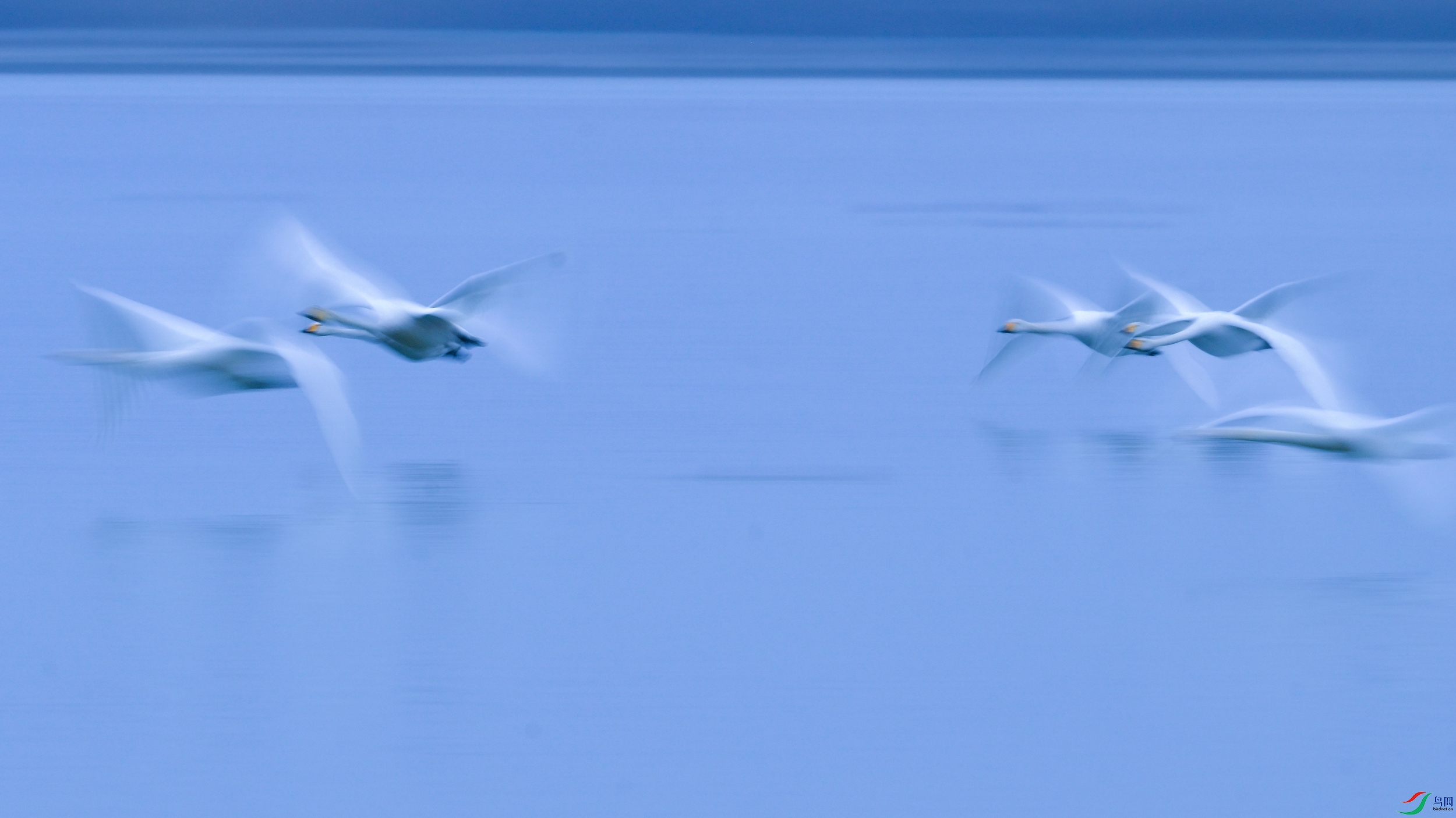 _DSC2851x2.jpg