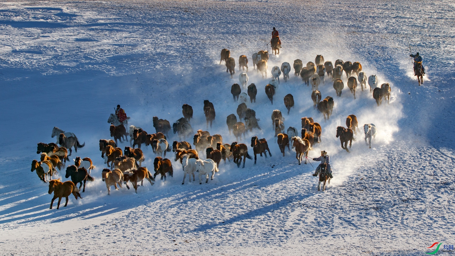 1N5A9712 ����.jpg