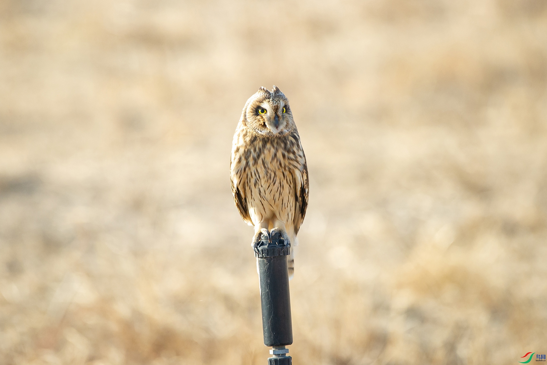 DSC_1401-20201228�ü�.jpg