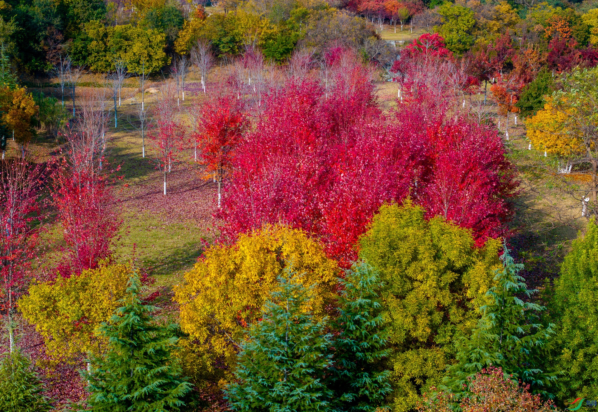 DJI_20251109132154_0049_D-1.jpg