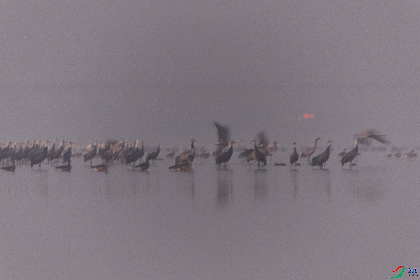 010A6403.jpg