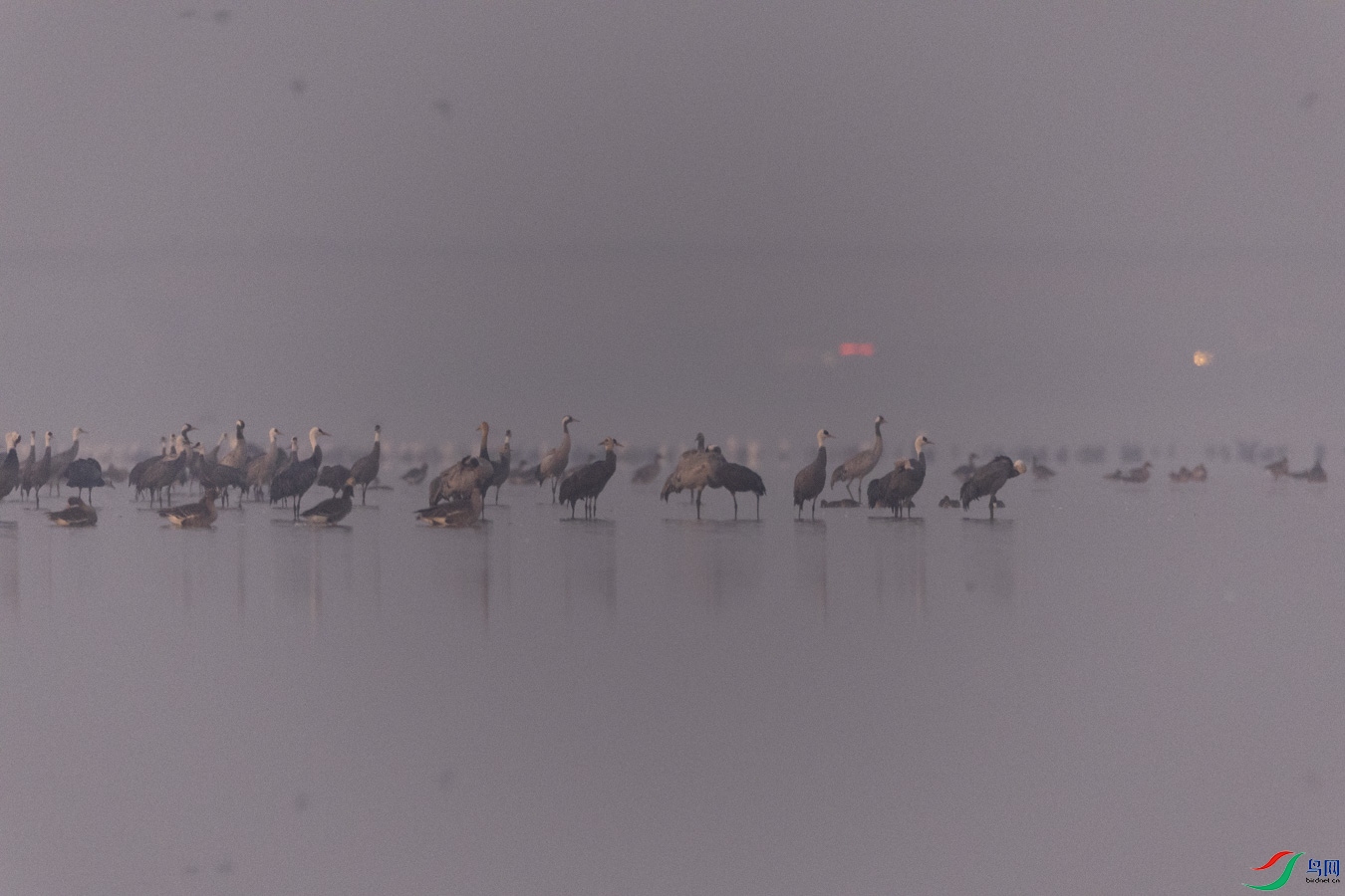 010A6397.jpg