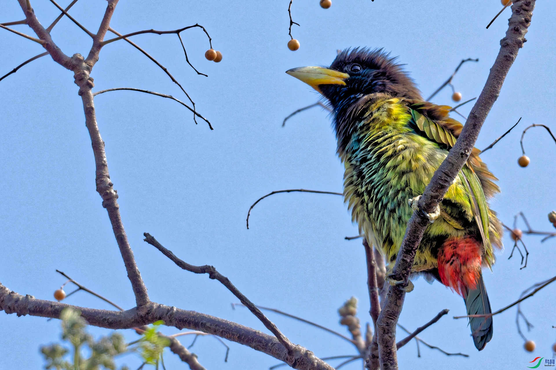 DSC_1982-DxO_DeepPRIME 3_DxO_DxO_����.jpg