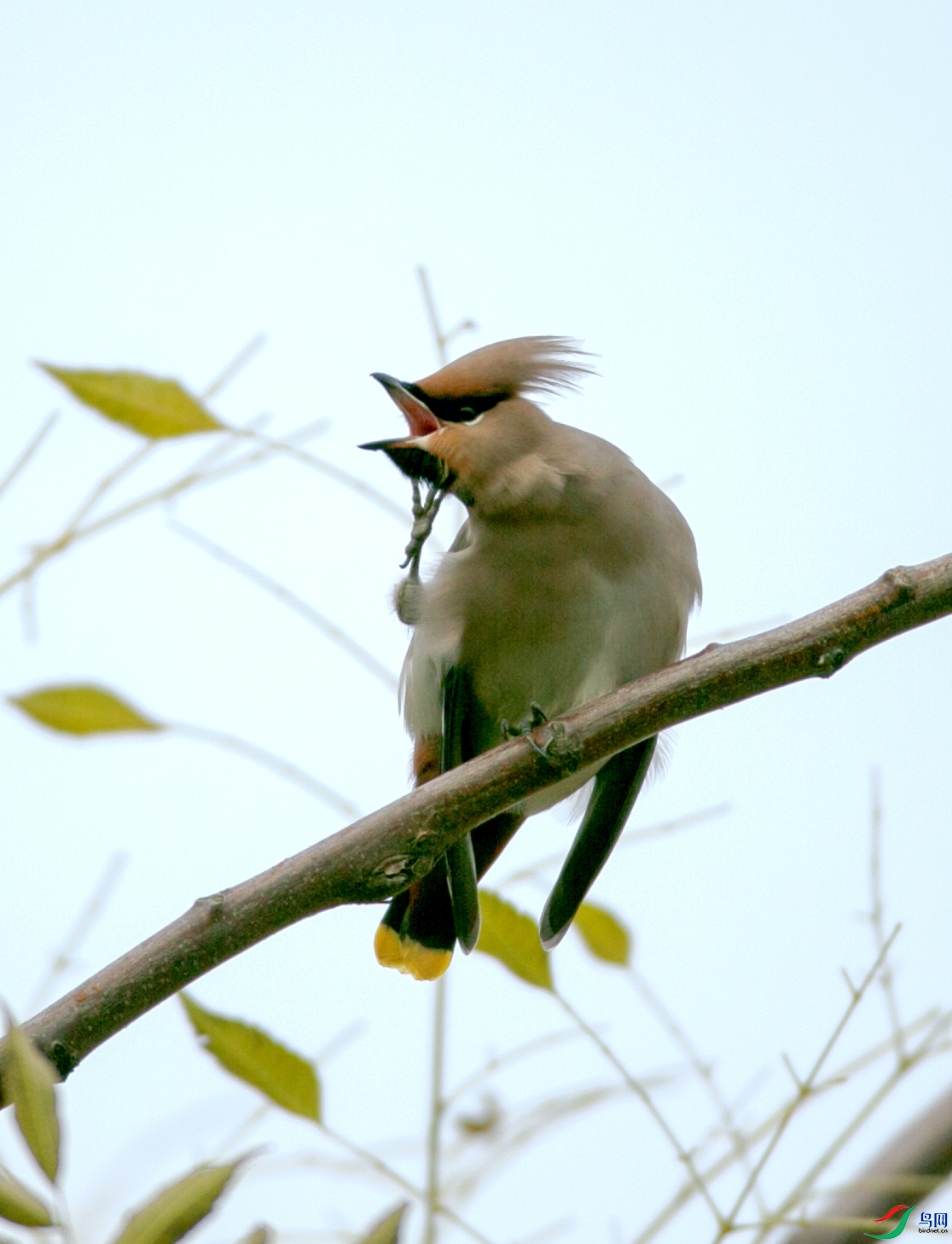 673A0499 ����.jpg