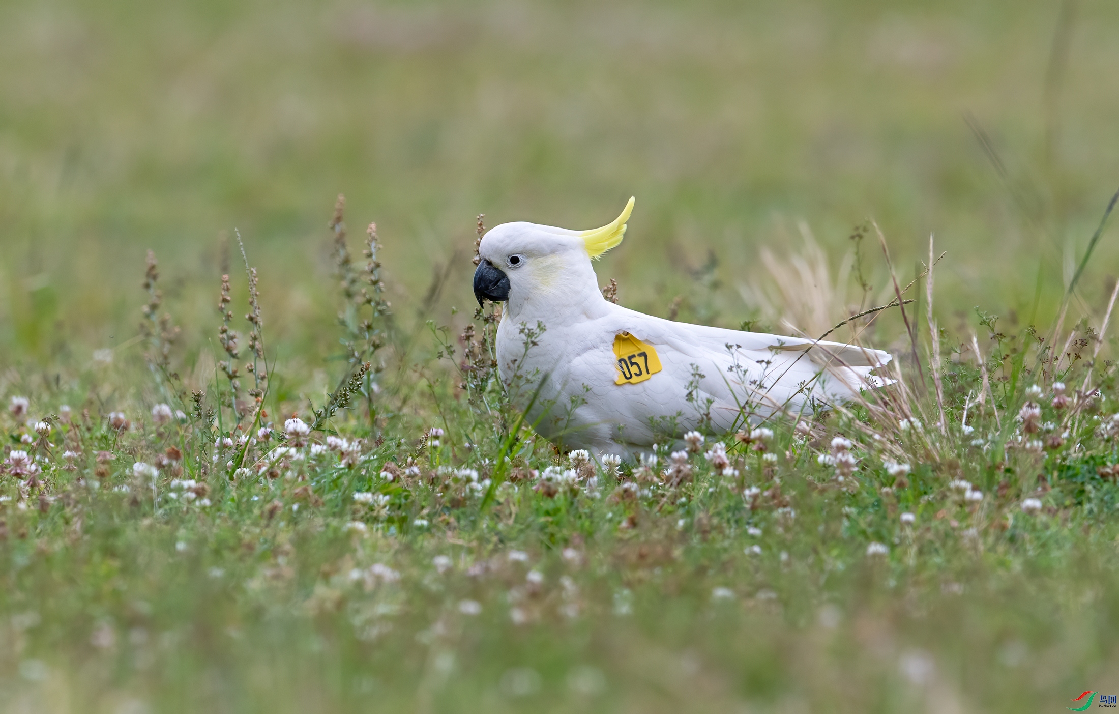 RAW-4808-11.jpg