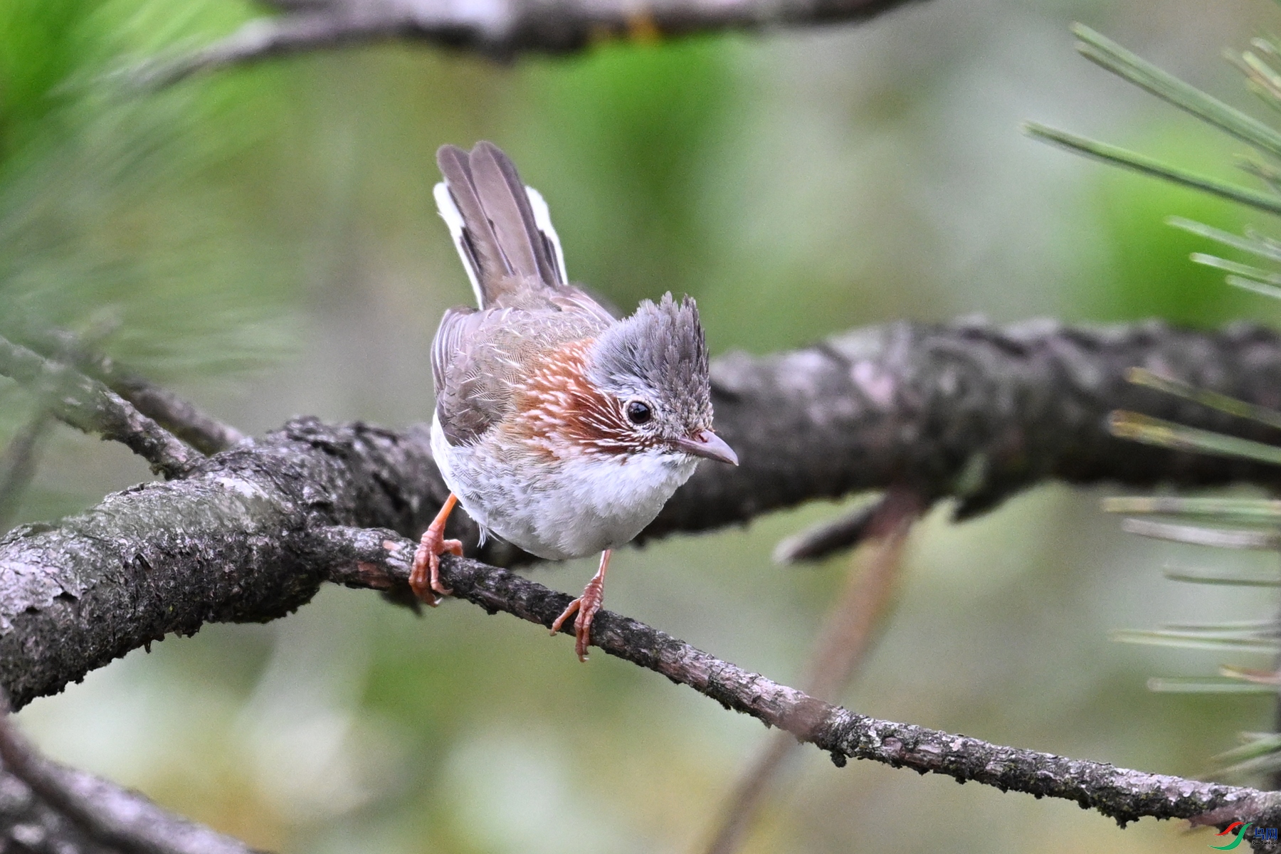 DSC_0961.JPG