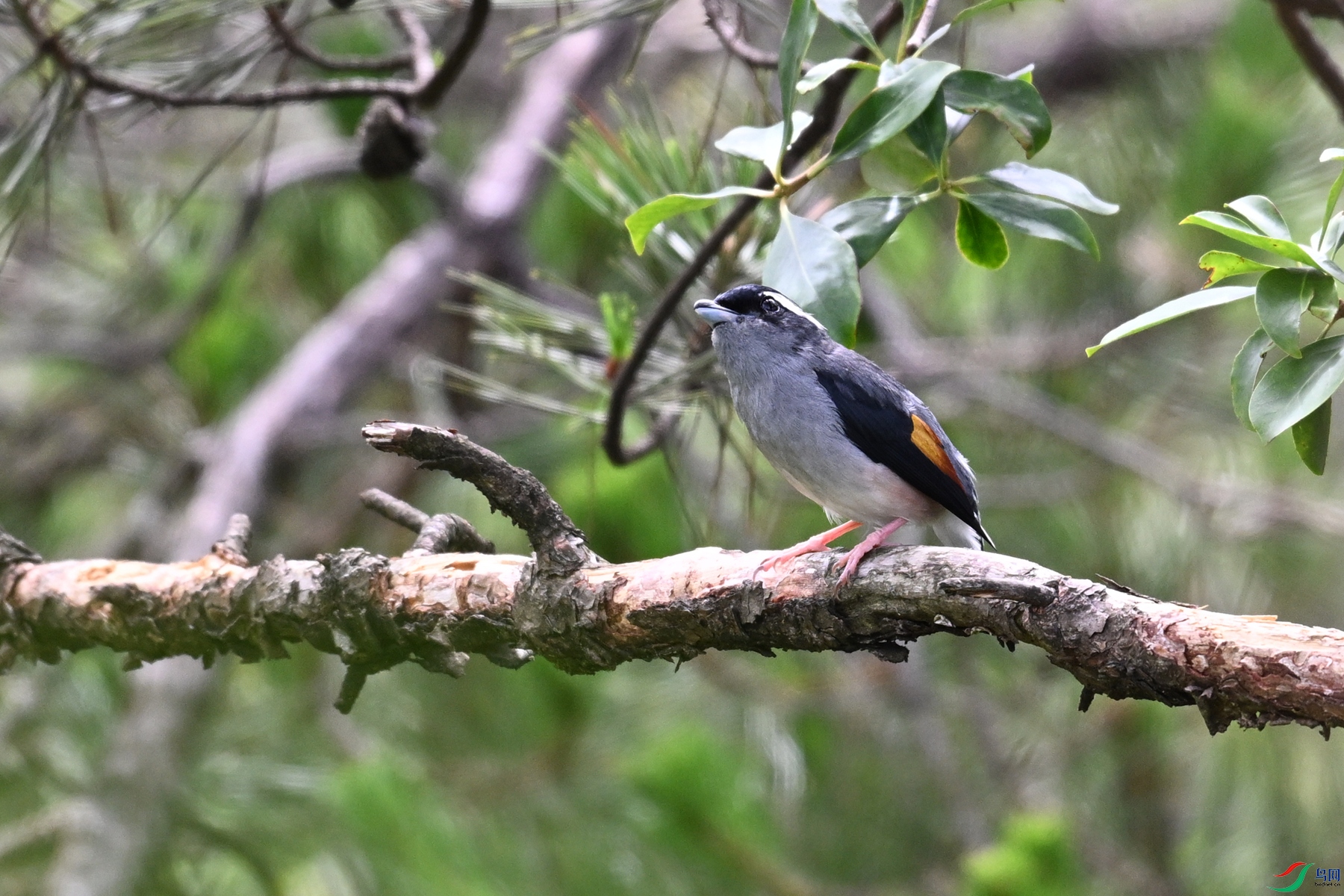 DSC_0979.JPG