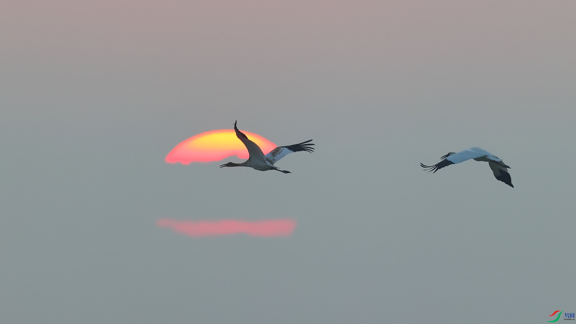 AC1I5573�ɰ� - ����.JPG