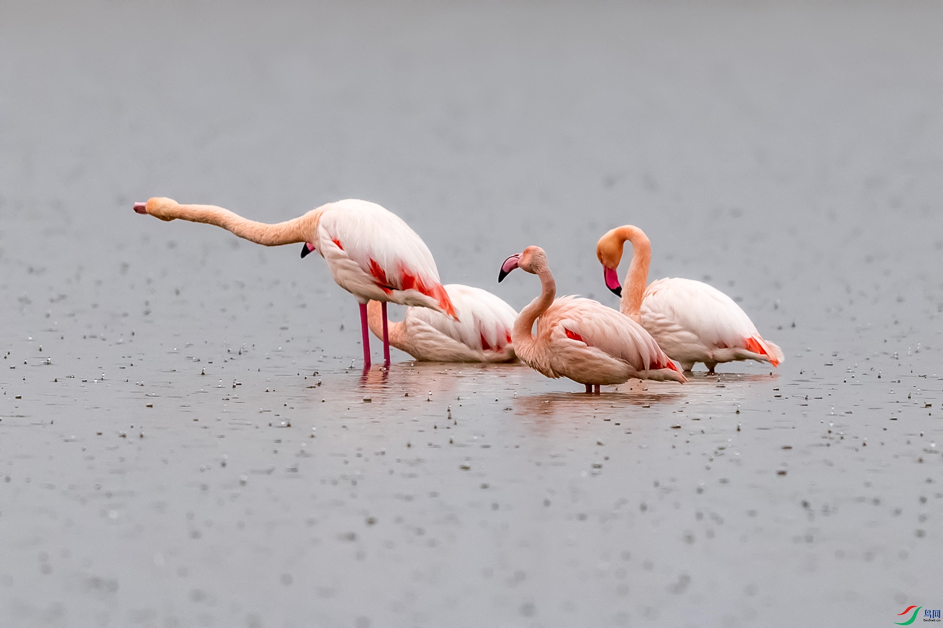 IMG_9920 ����.jpg