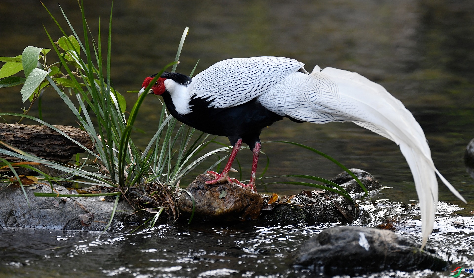 DSC_5576.jpg