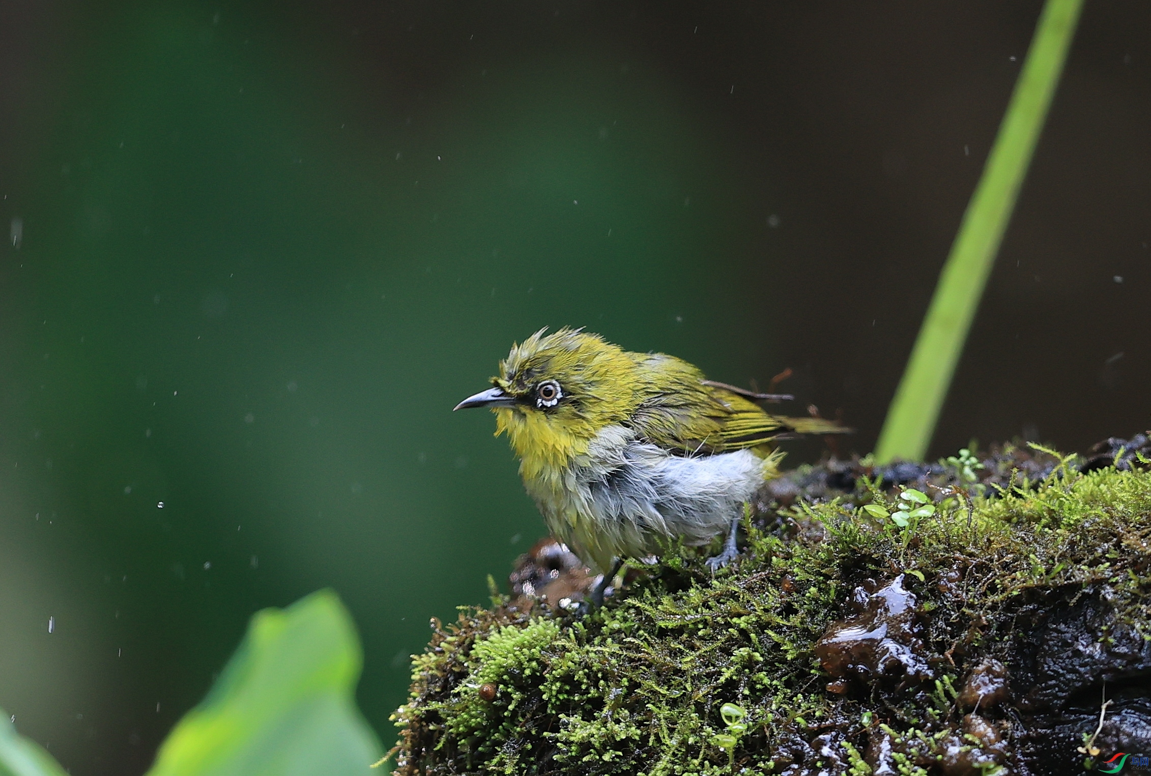 AK1I7187�� ��1.JPG