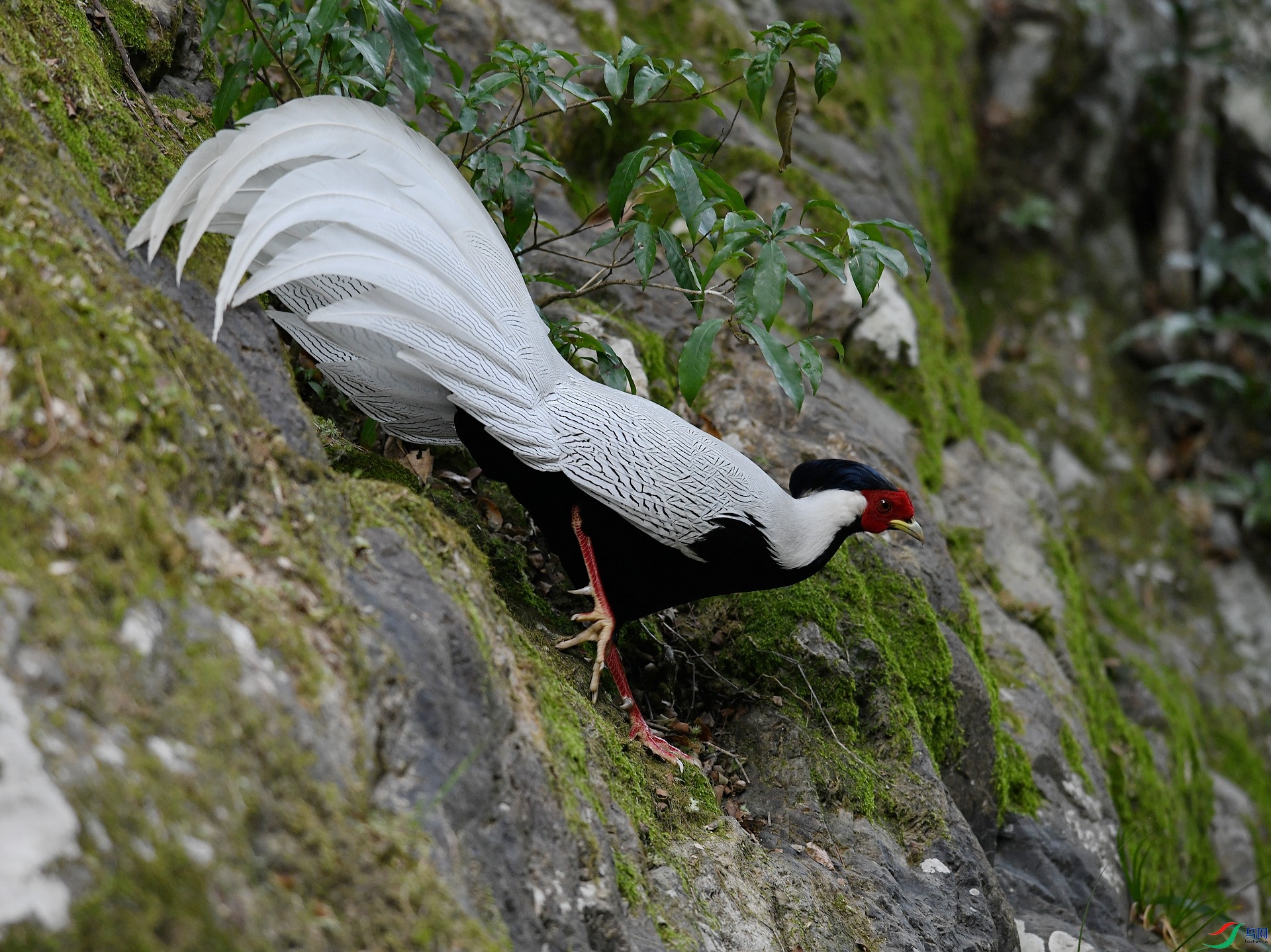 DSC_5565.jpg