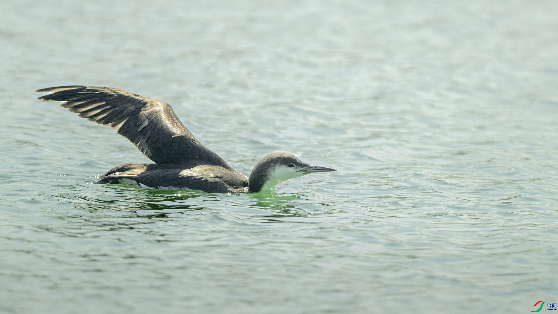 DSC_7565 ����.jpg