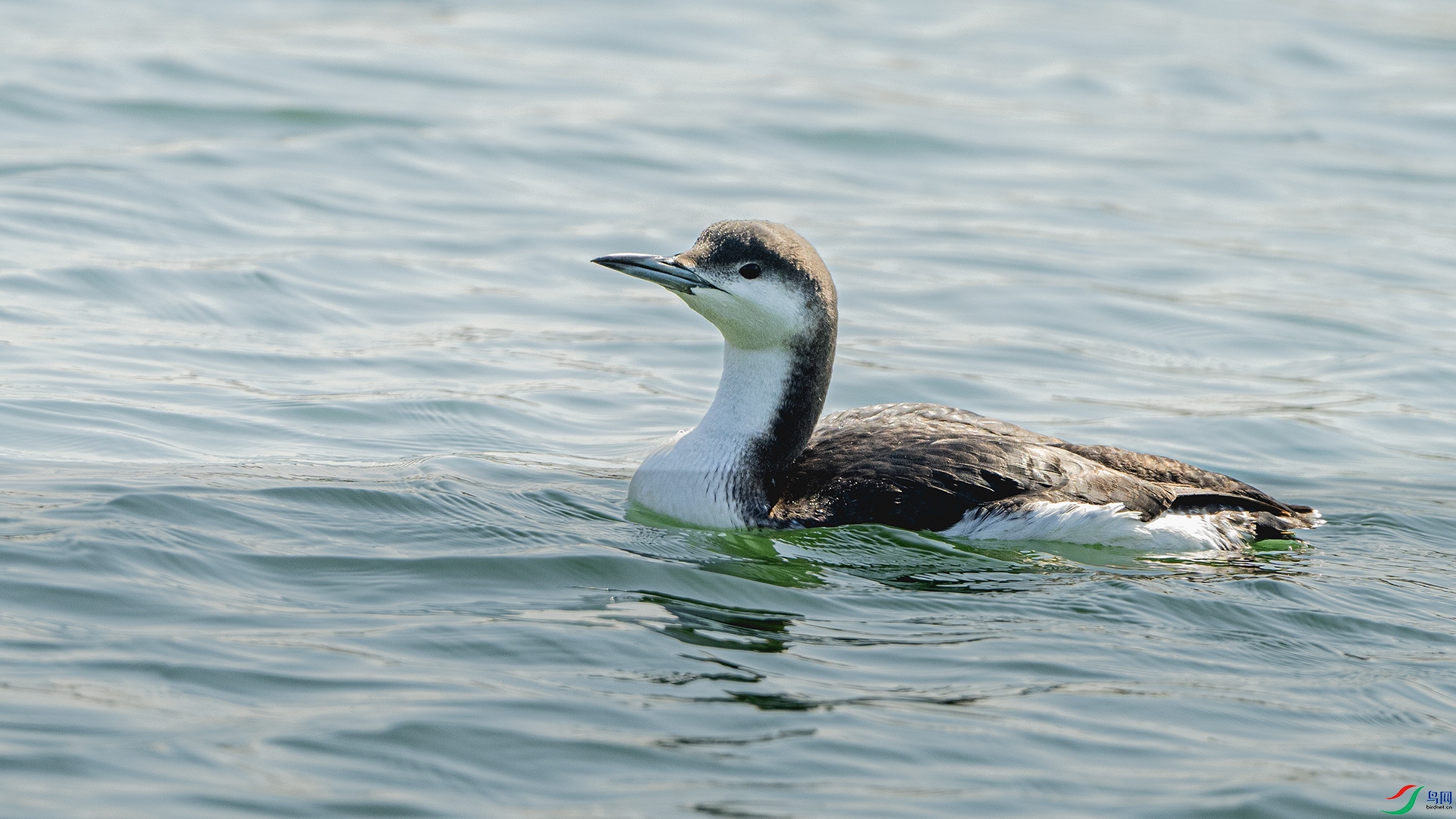 DSC_7632 ����.jpg