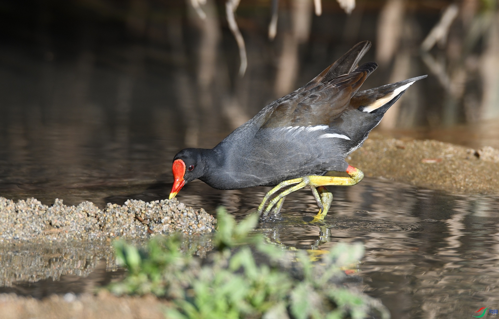 DSC_5053.jpg