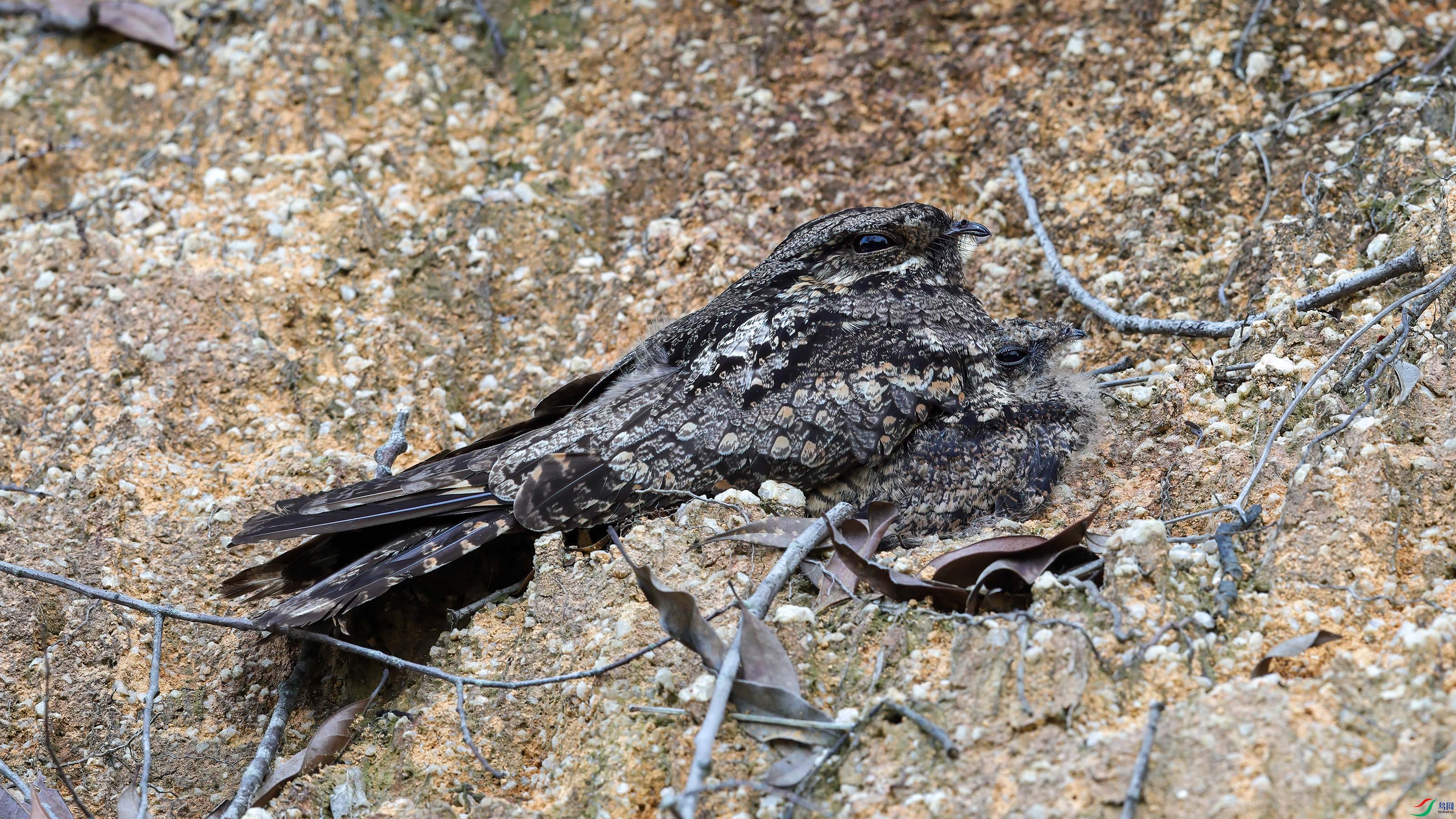 _E8A3885 ����w.jpg