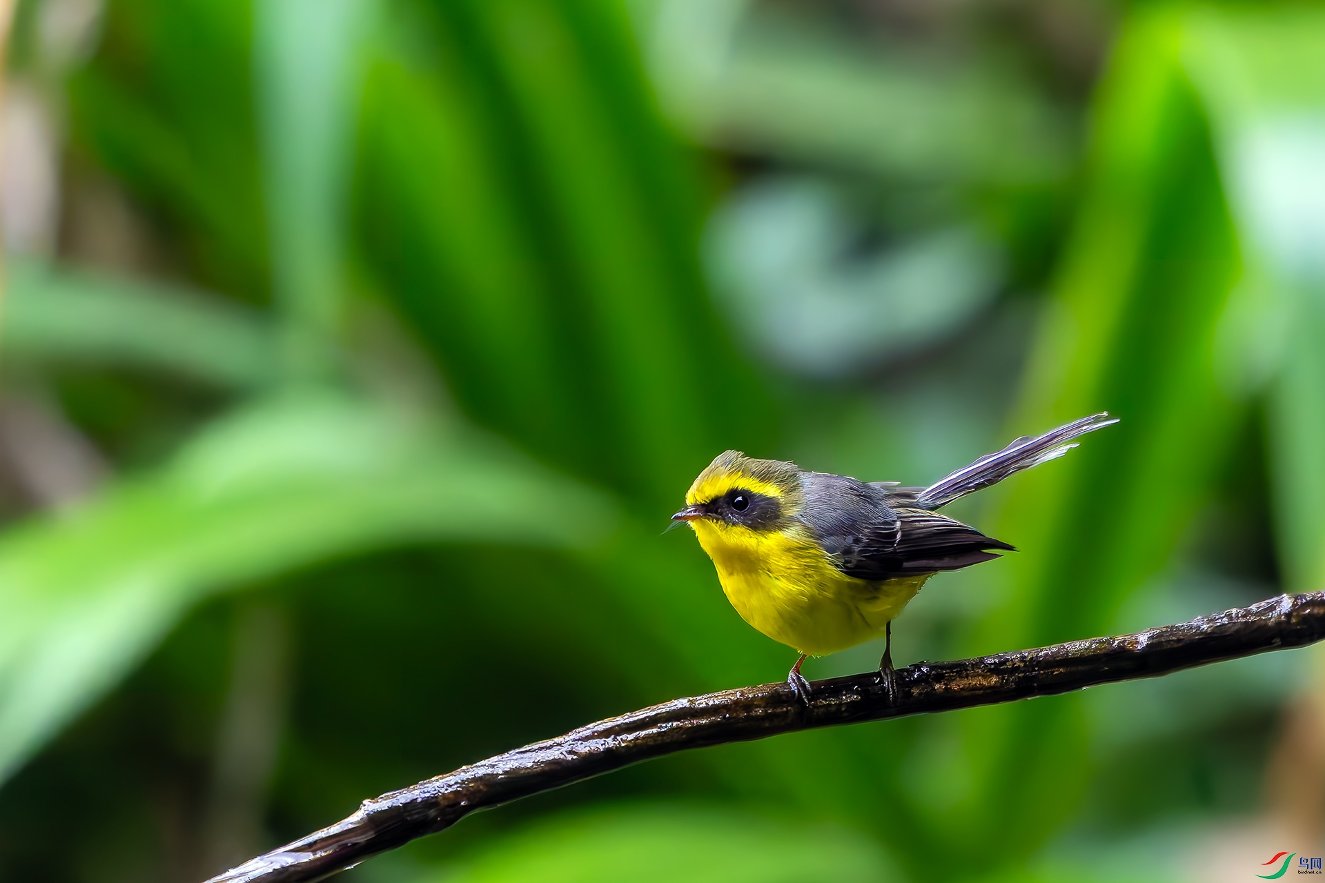 20251224-DSC01093 ����.jpg