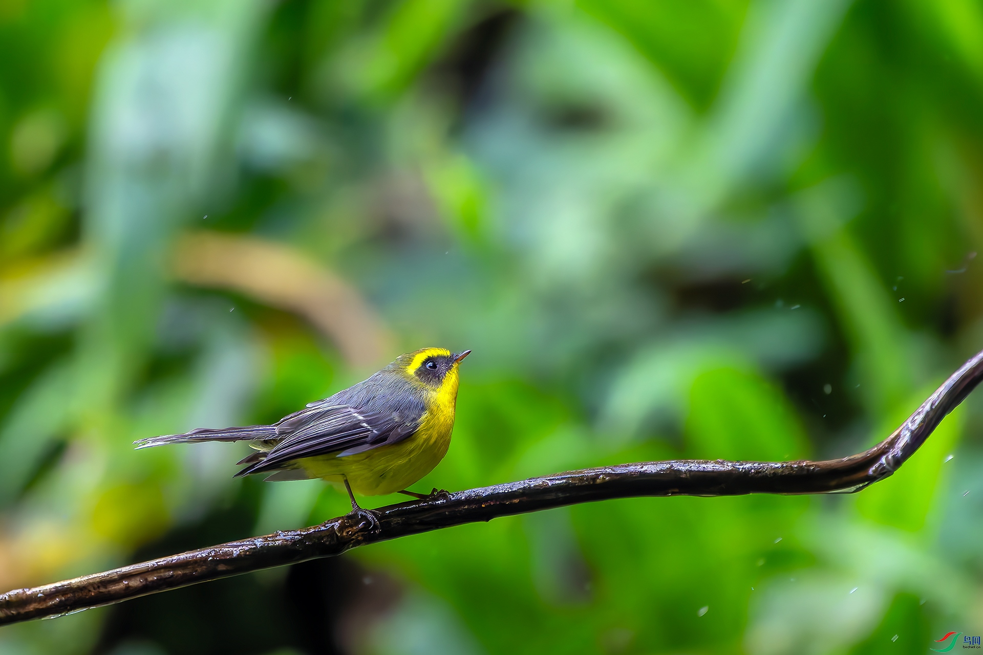 20251224-DSC01103 ����.jpg