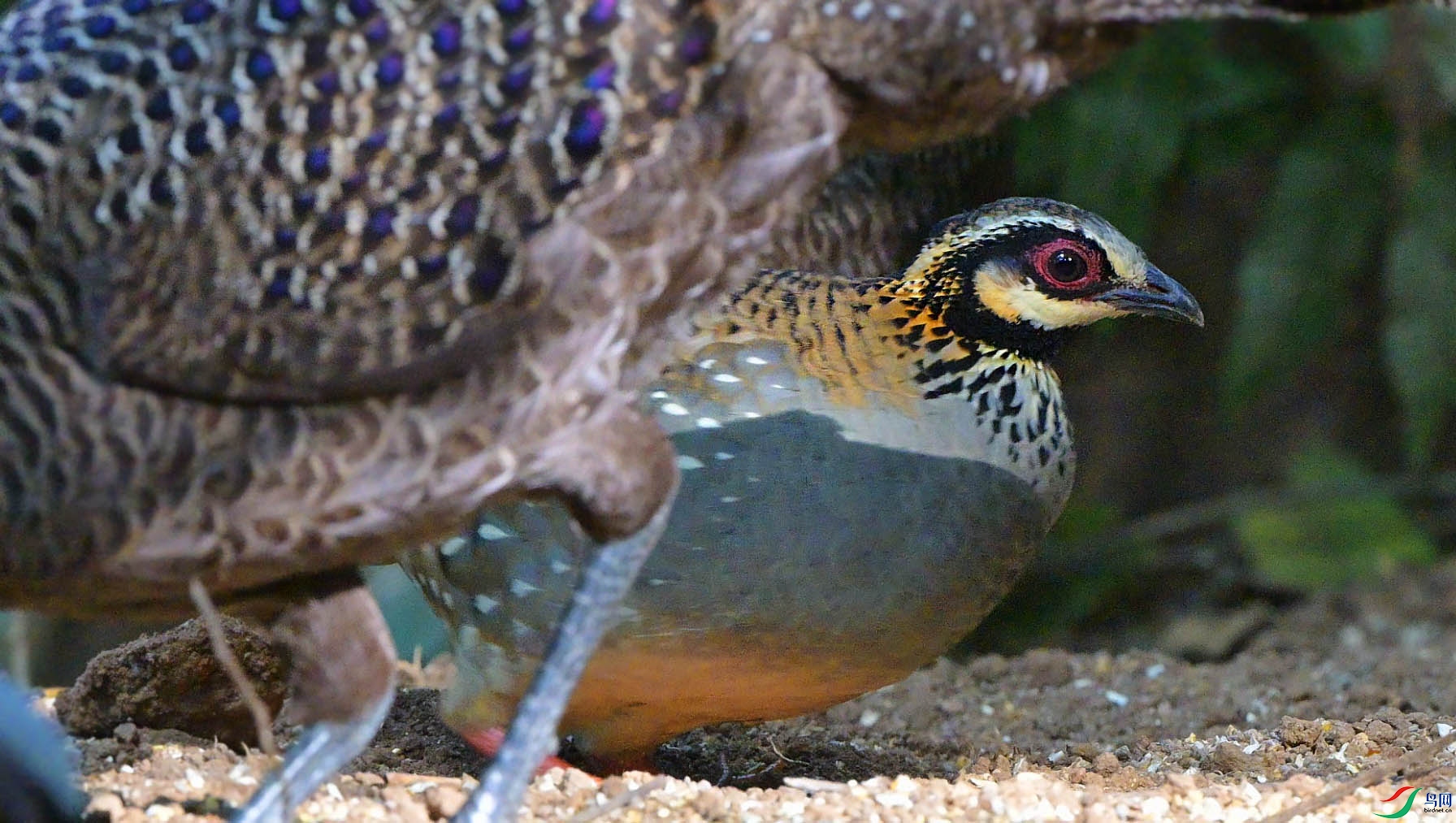 {0E045250-A08E-4E37-94BA-941A7D7ABFCF} ����.jpg