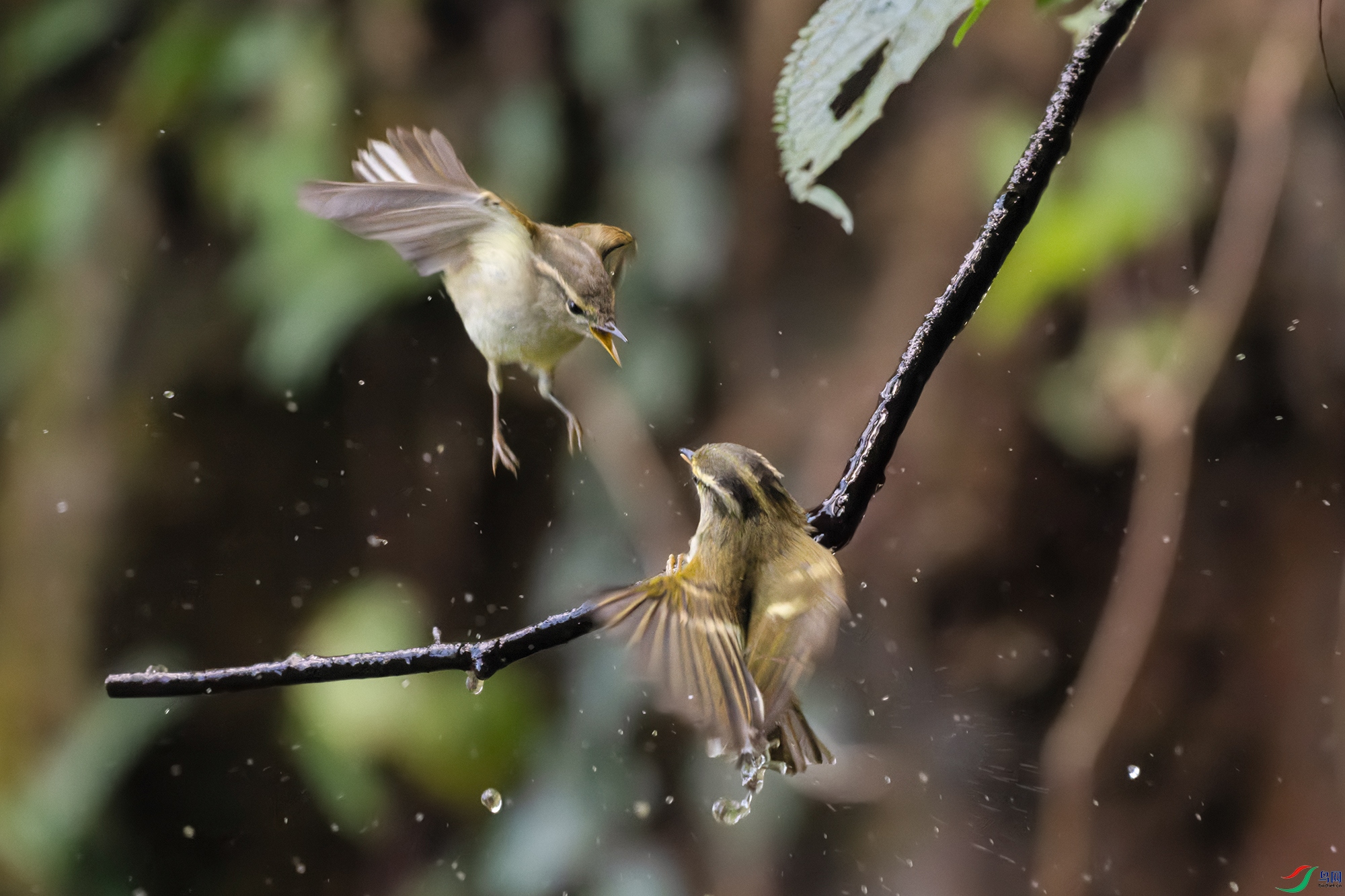 20c4f60ab595730ea13992b8b86e8128 ����.jpg