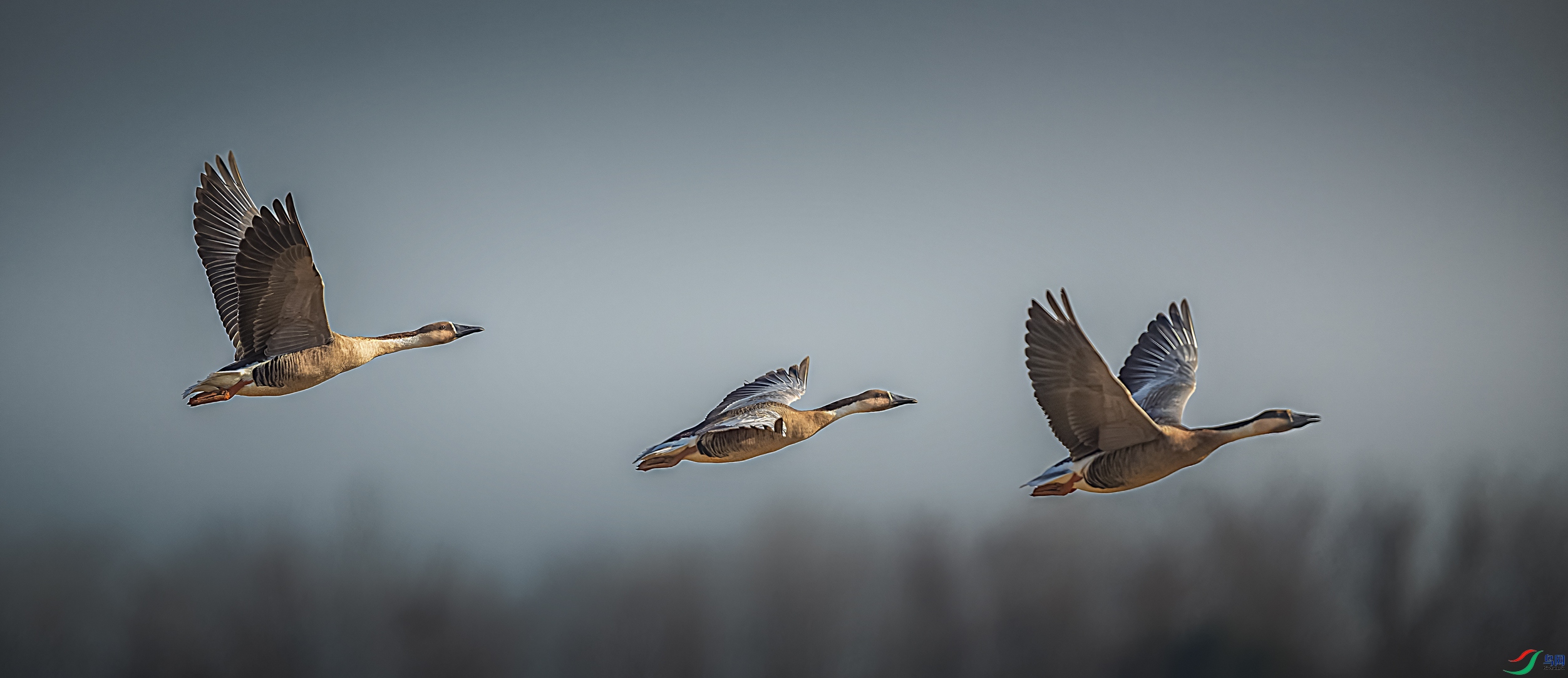 ����֮��