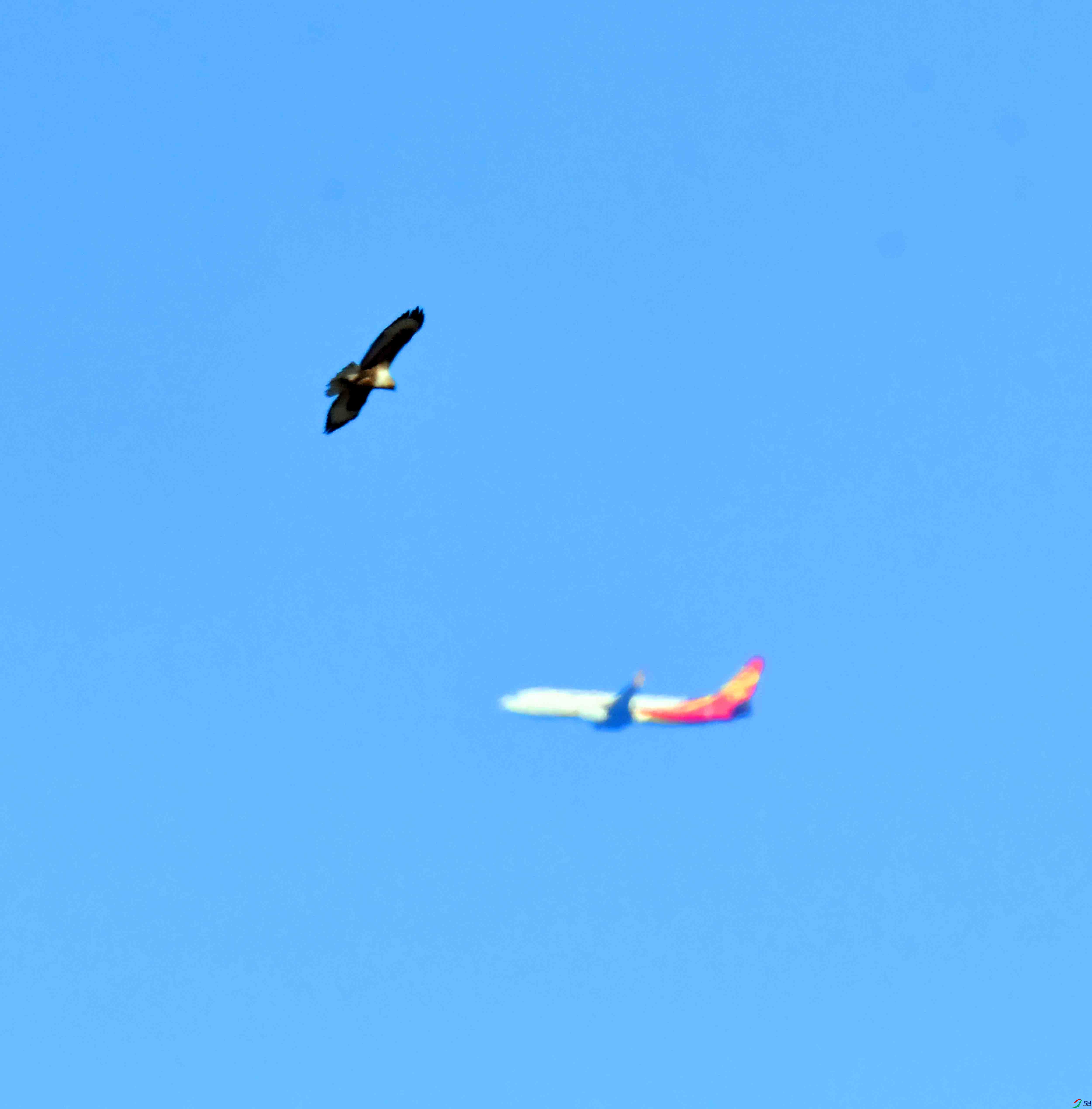 DSC_4582.JPG