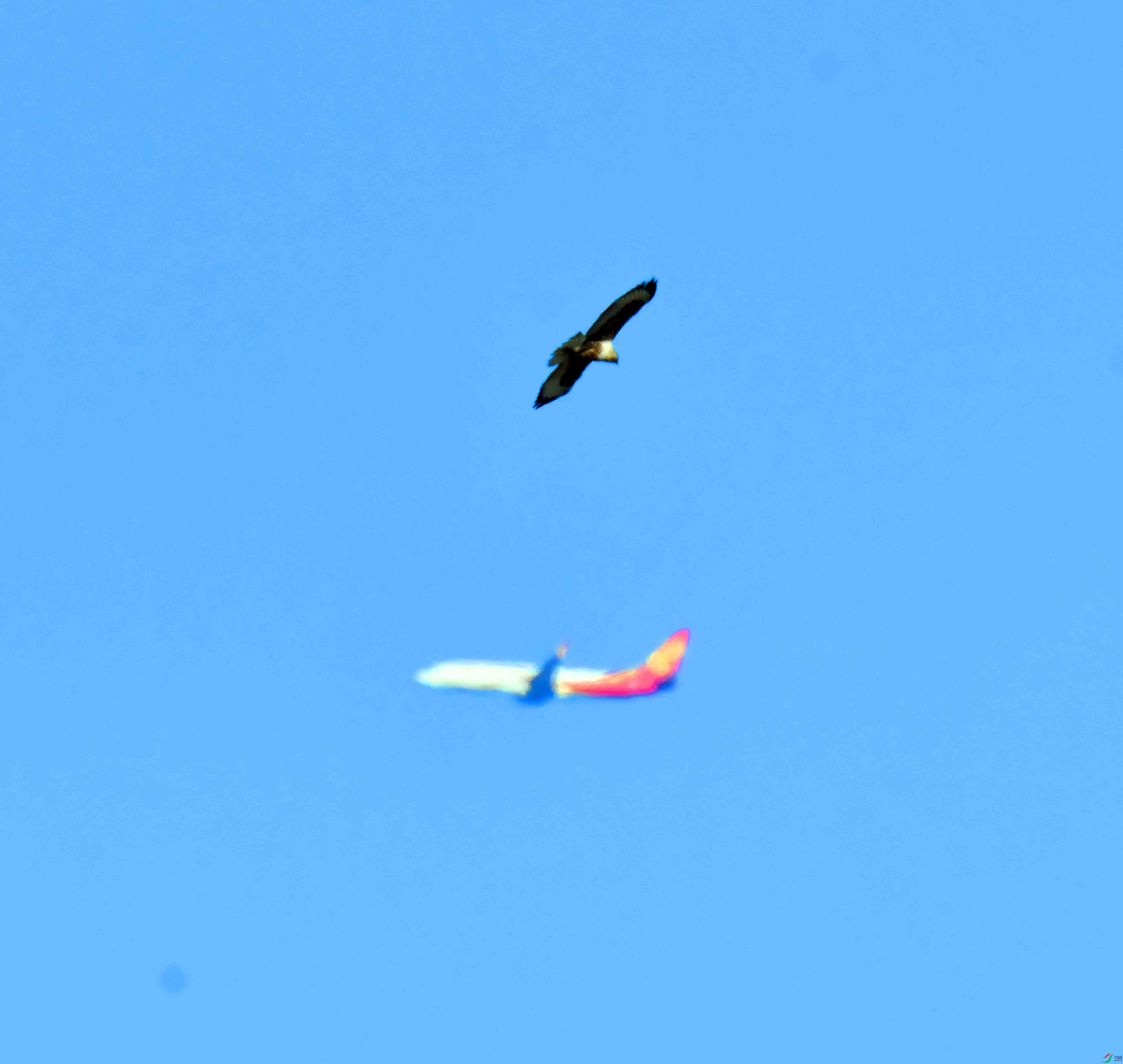 DSC_4584.JPG