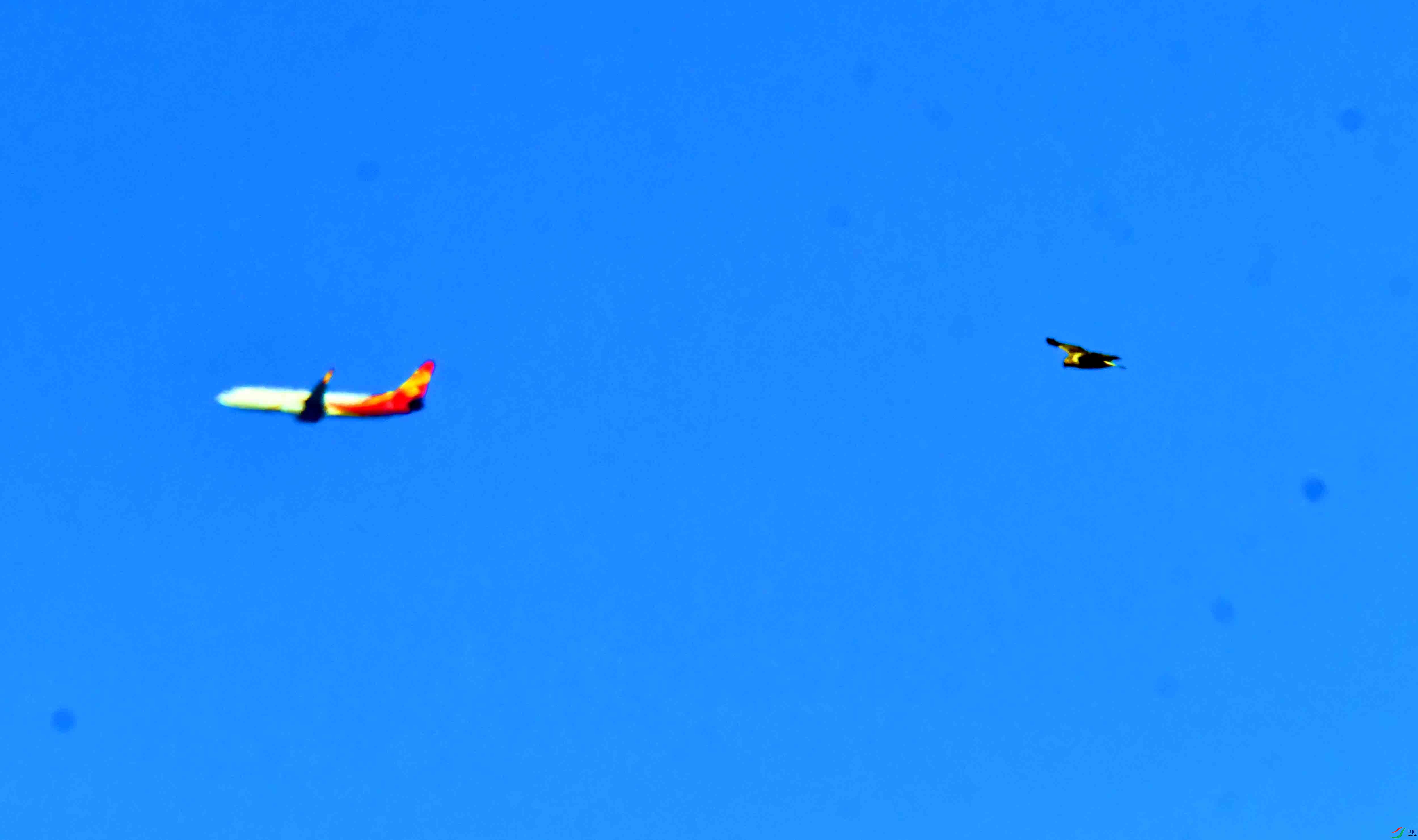 DSC_4589.JPG