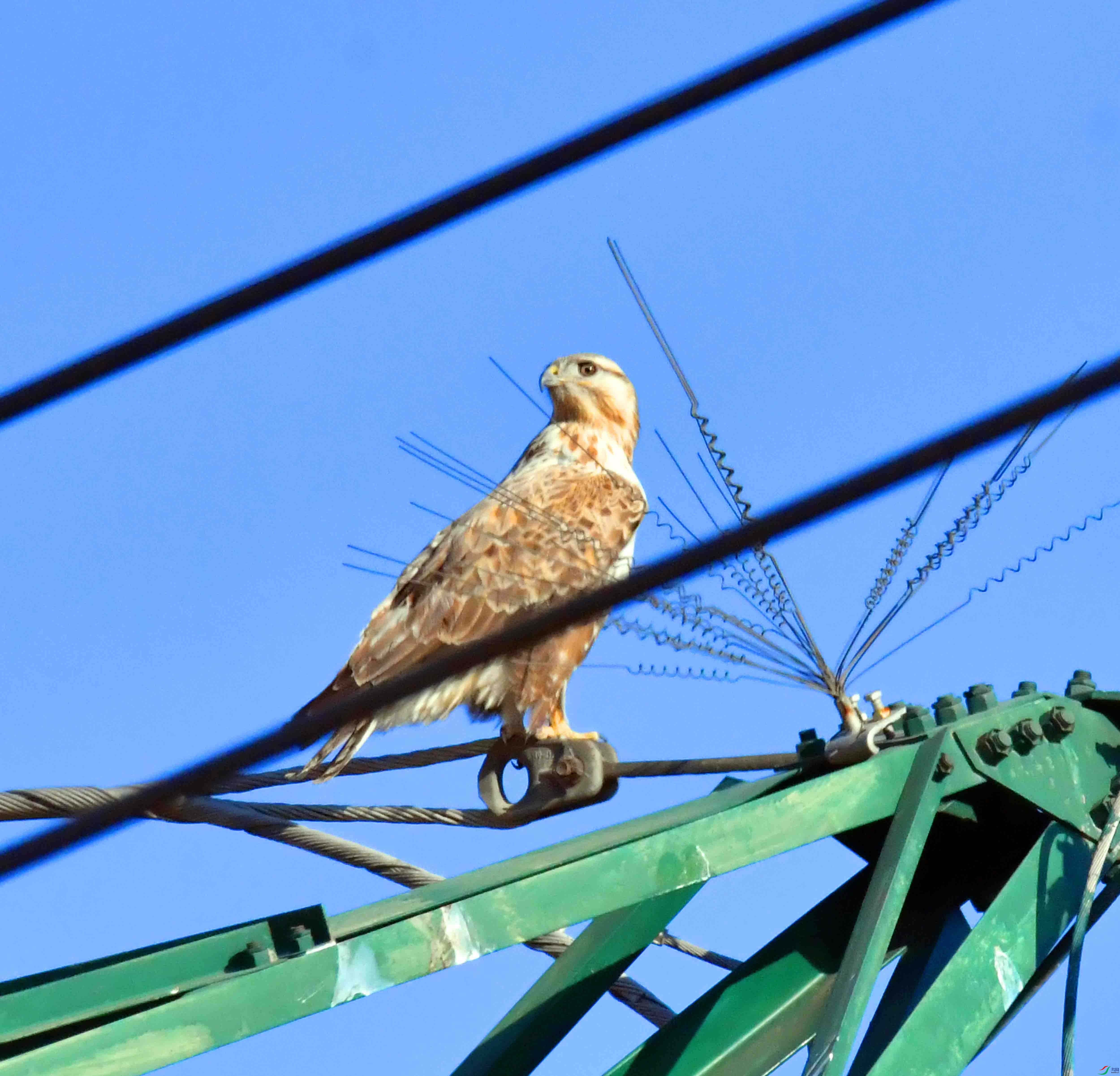 DSC_4989.JPG