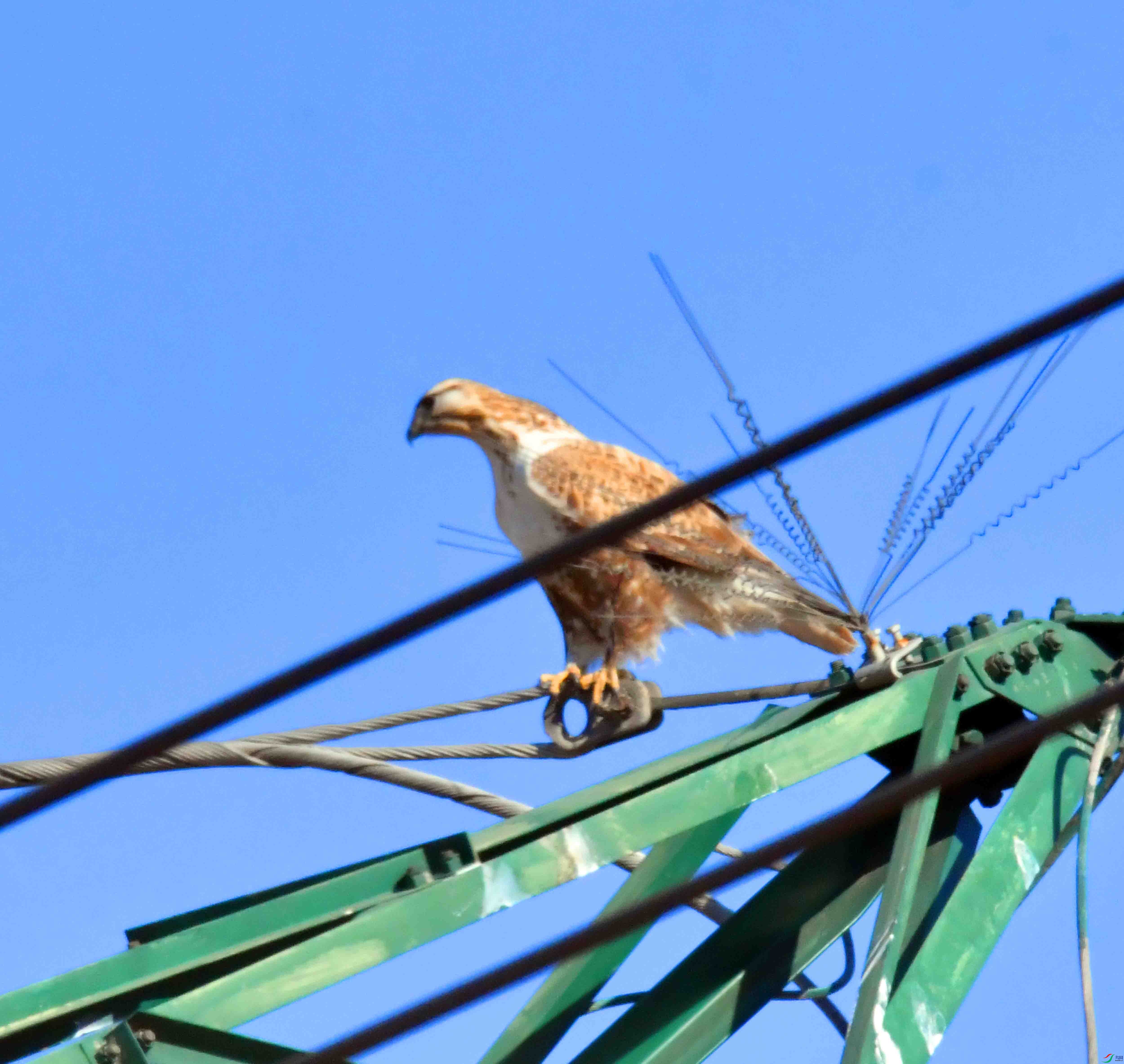 DSC_5020.JPG