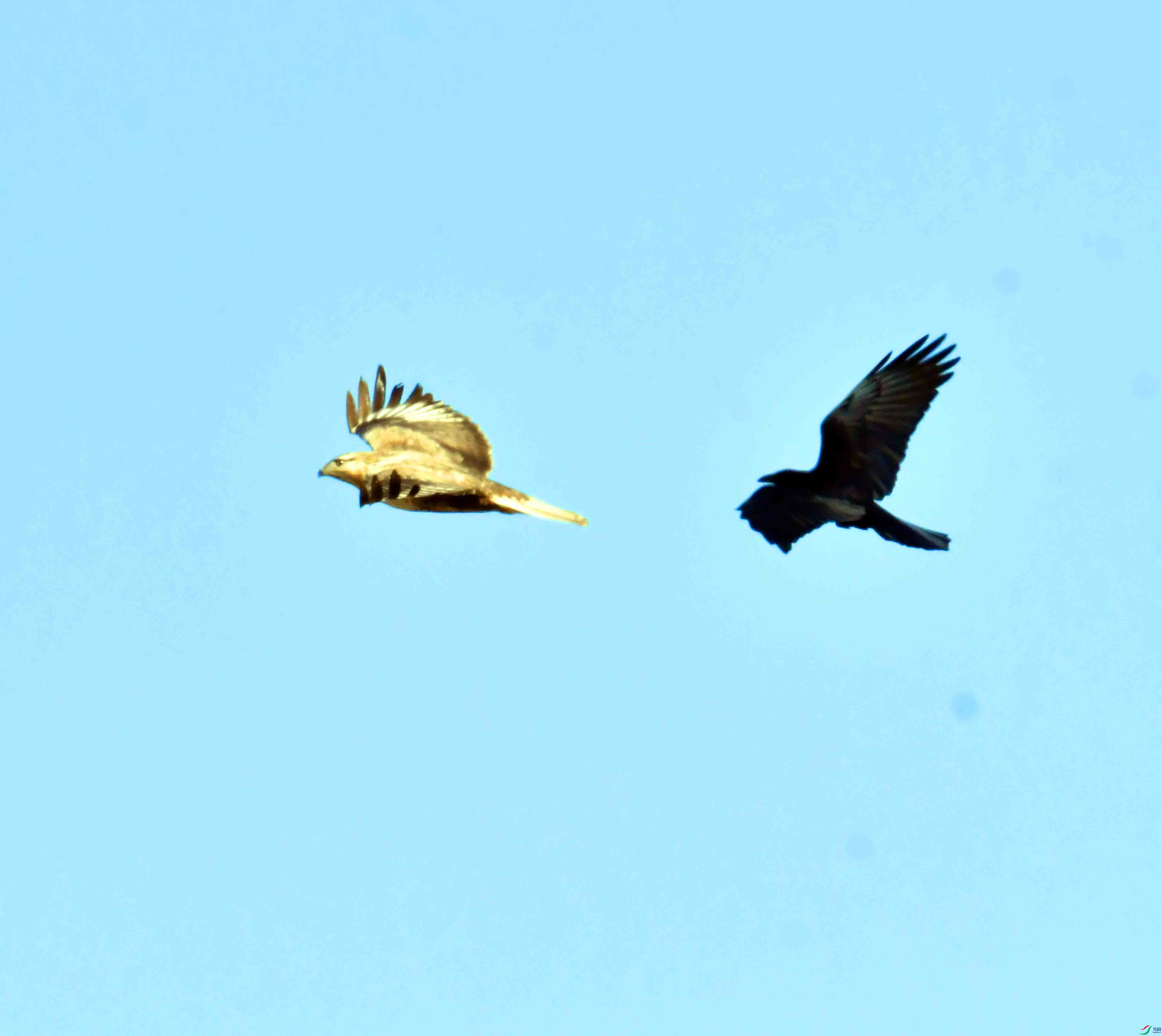 DSC_5025.JPG