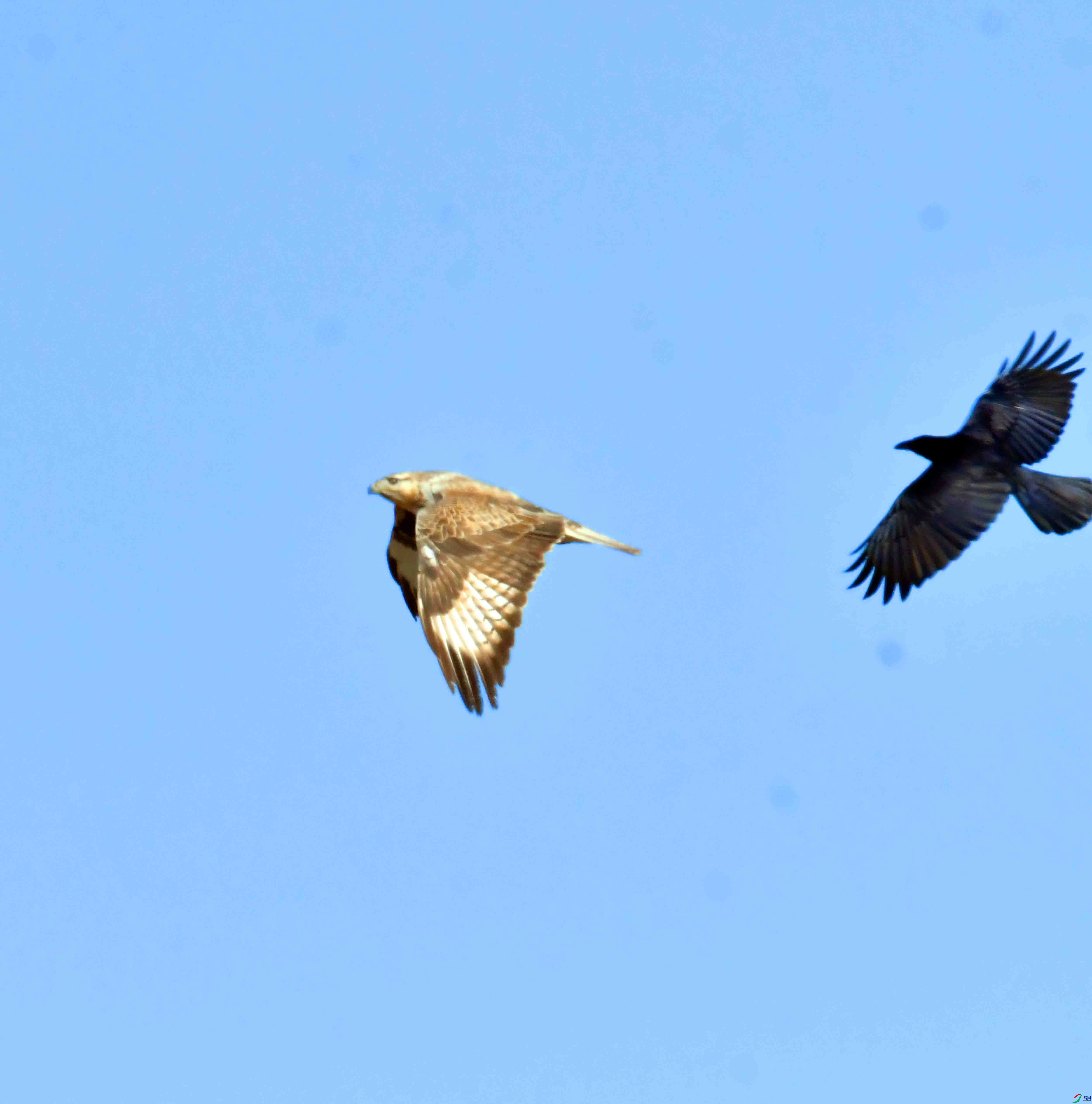 DSC_5026.JPG