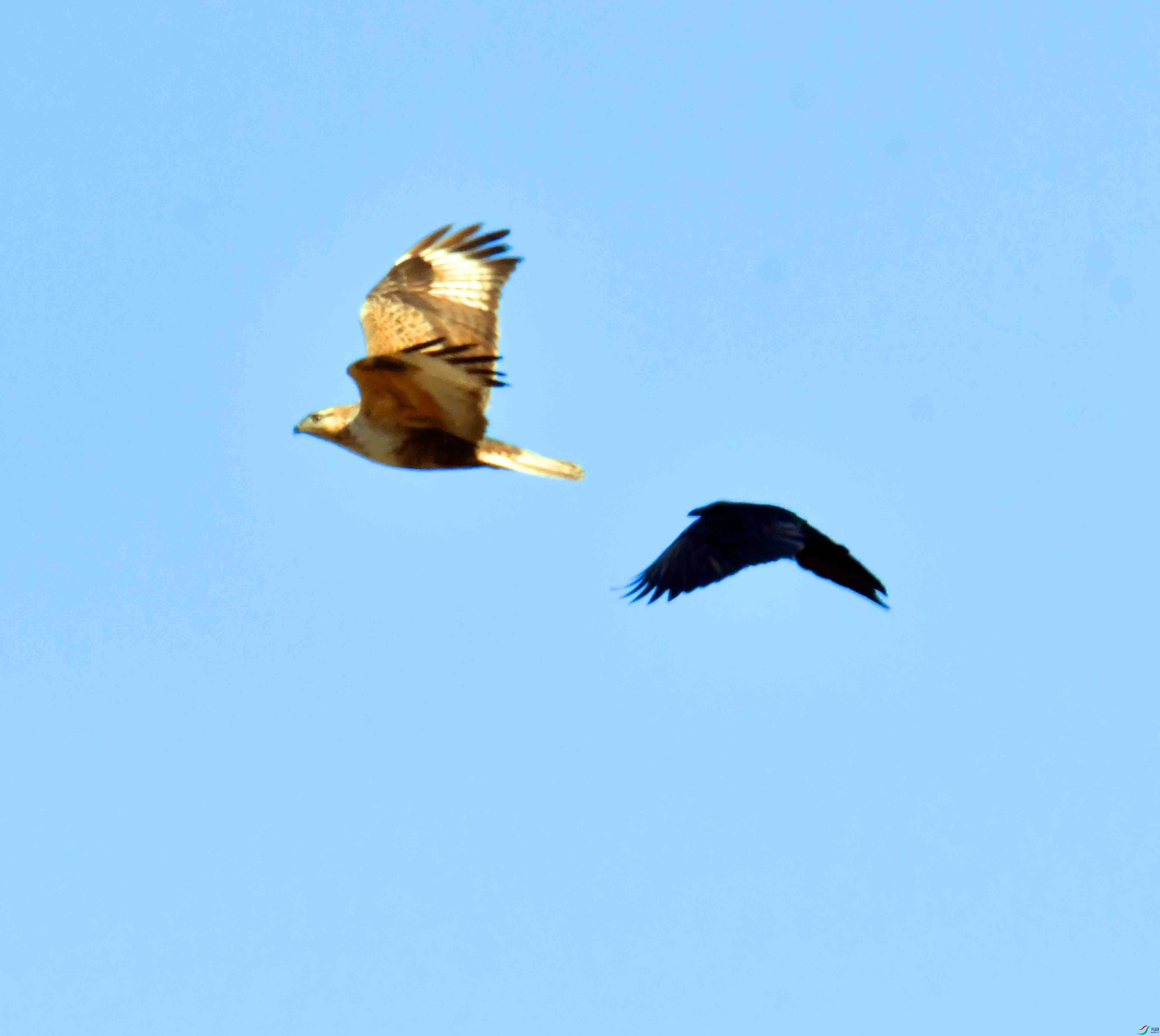 DSC_5024.JPG